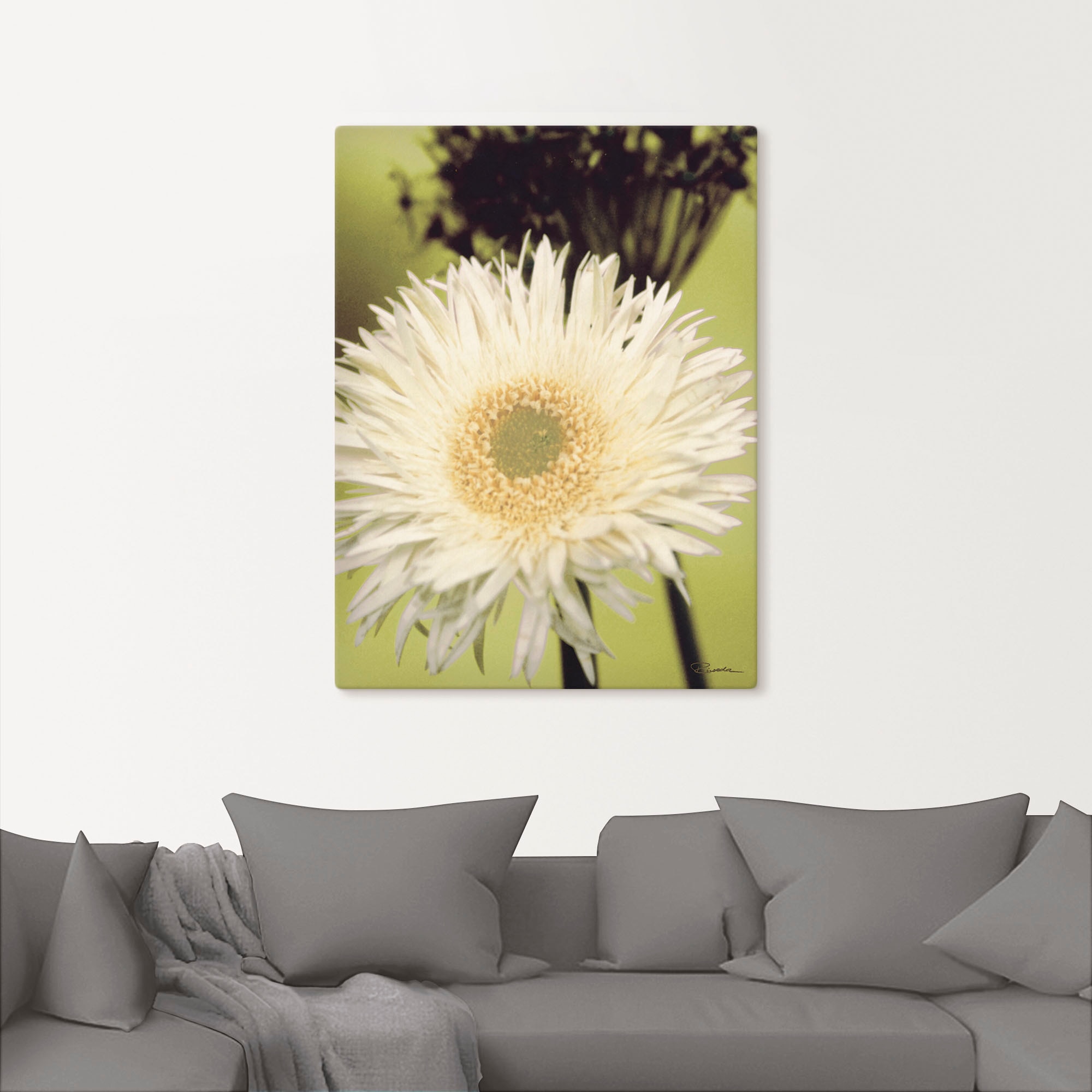 Artland Leinwandbild »Eine vor grün - Gerbera«, Blumenbilder, (1 St.), auf Keilrahmen gespannt
