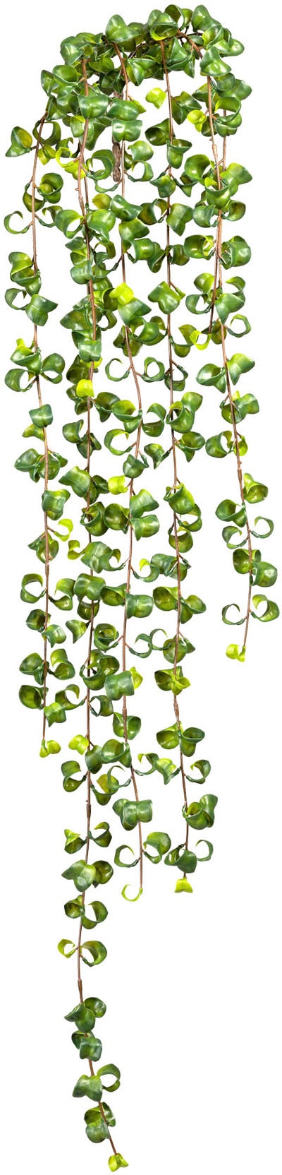 Creativ green Kunstranke »Ficus Barock Blatthänger«