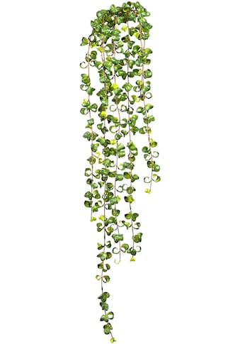 Creativ green Kunstranke »Ficus Barock Blatthänger«, (1 St.) kaufen