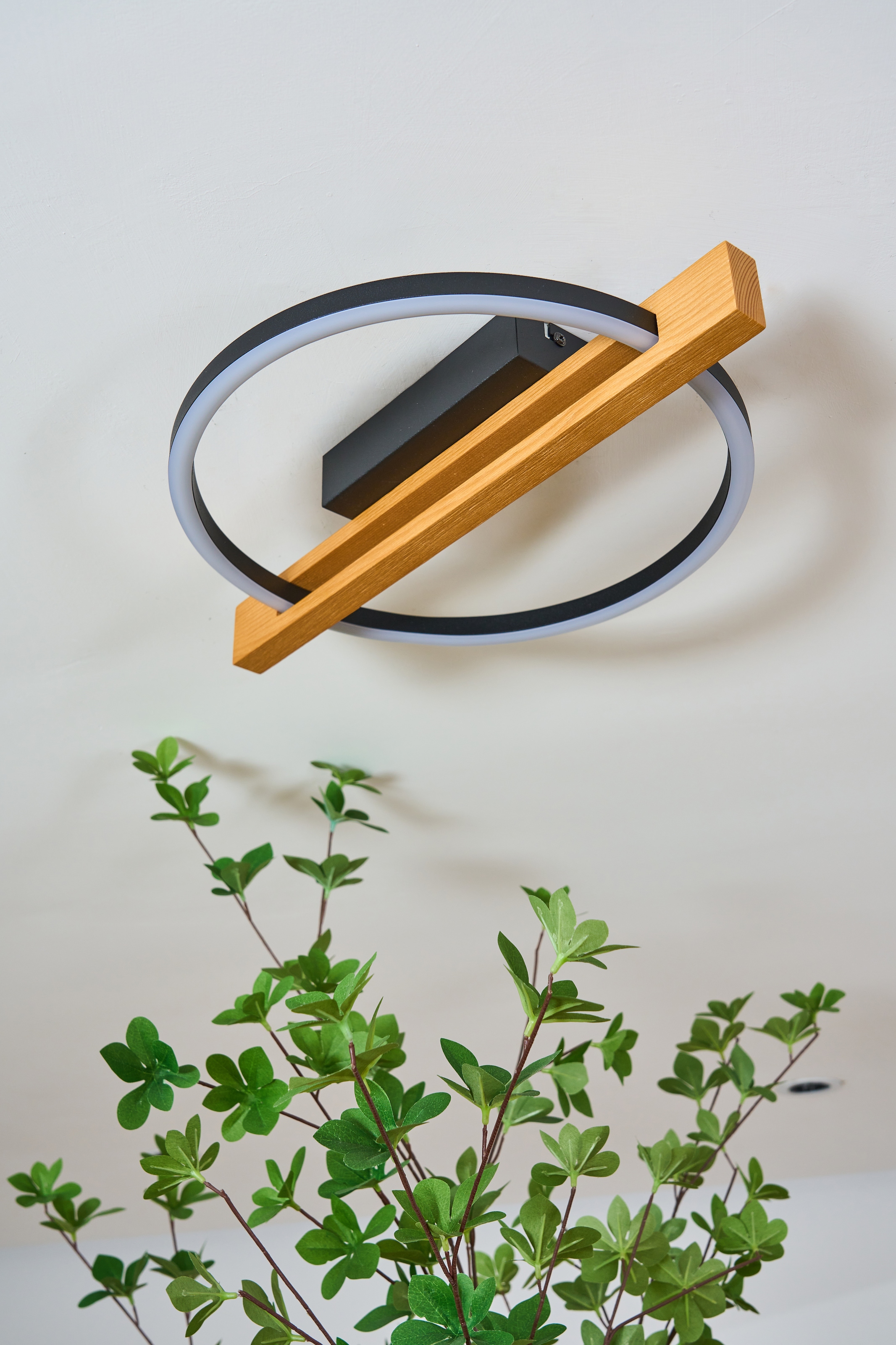 ECO-LIGHT LED Deckenleuchte »LED-Deckenleuchte TOVAK«, 1 flammig, Leuchtmittel LED-Board | LED fest integriert