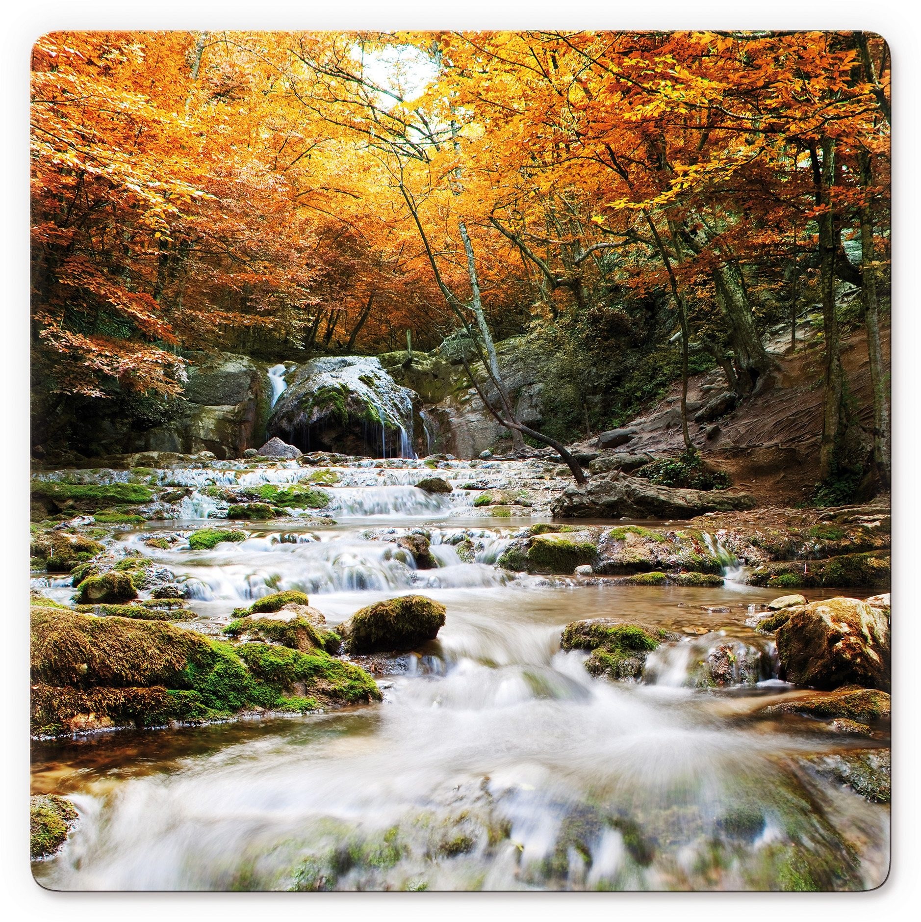 Wall-Art Glasbild »Autumn Waterfall«, 50/50 cm