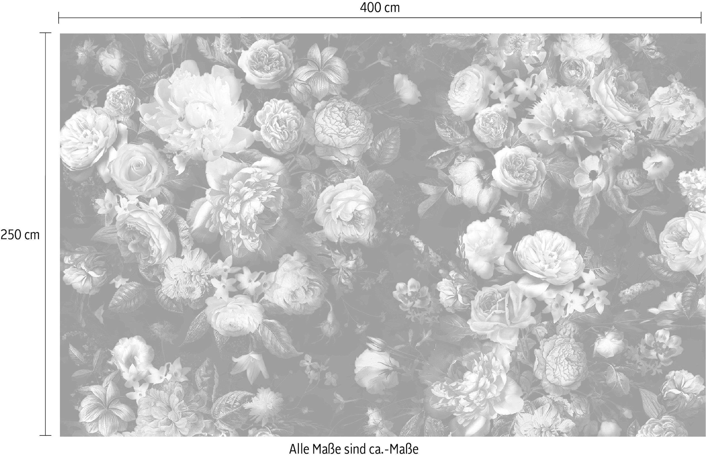 Komar Vliestapete »Digitaldruck Vlies -  Victoria Black - Größe 400 x 250 cm« bedruckt glatt Wohnzimmer, Schlafzimmer