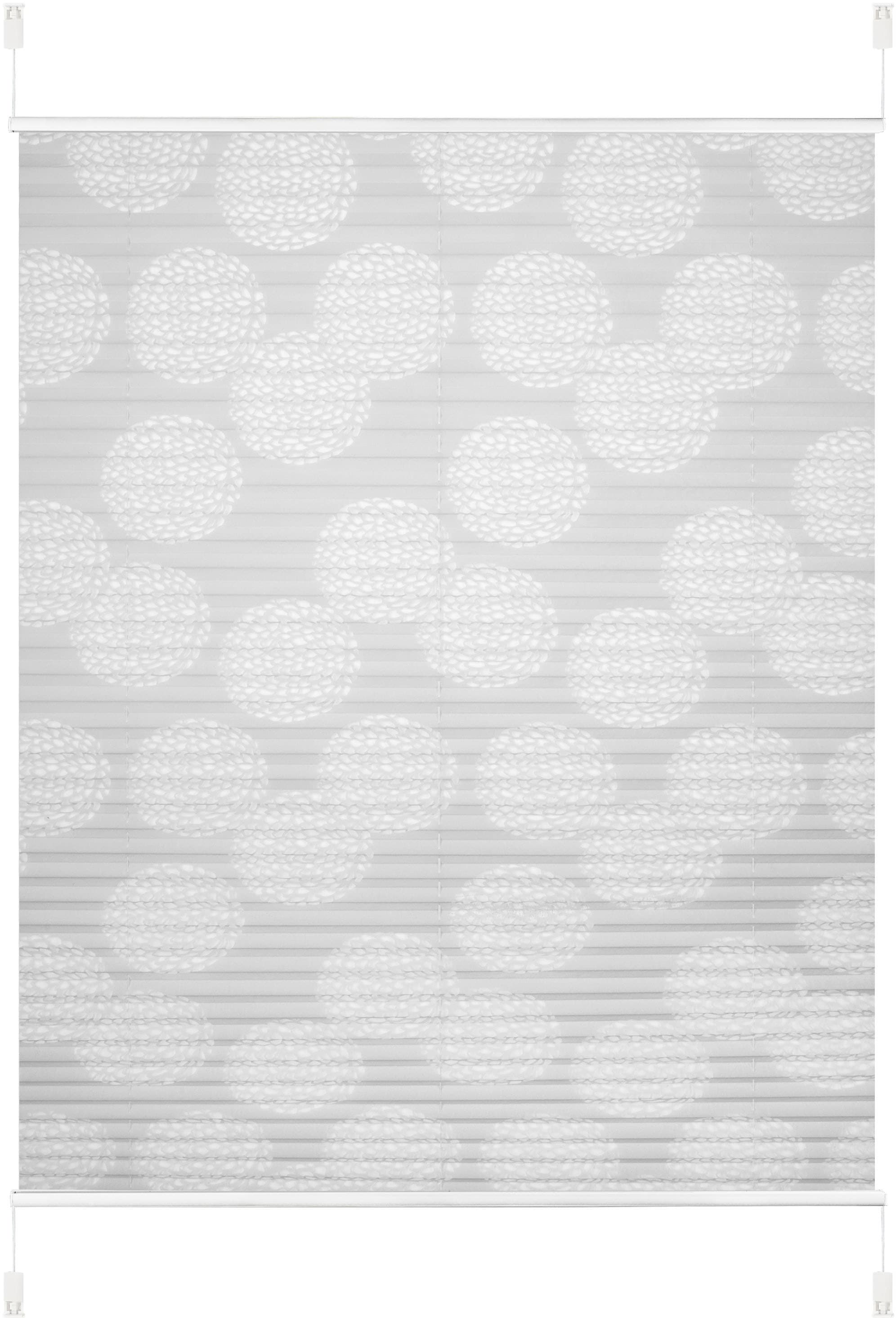 my home Plissee »BELUM«, Lichtschutz, ohne Bohren, verspannt, im Fixmaß, Ausbrenner, Kreise, Blumen, Klemmträger