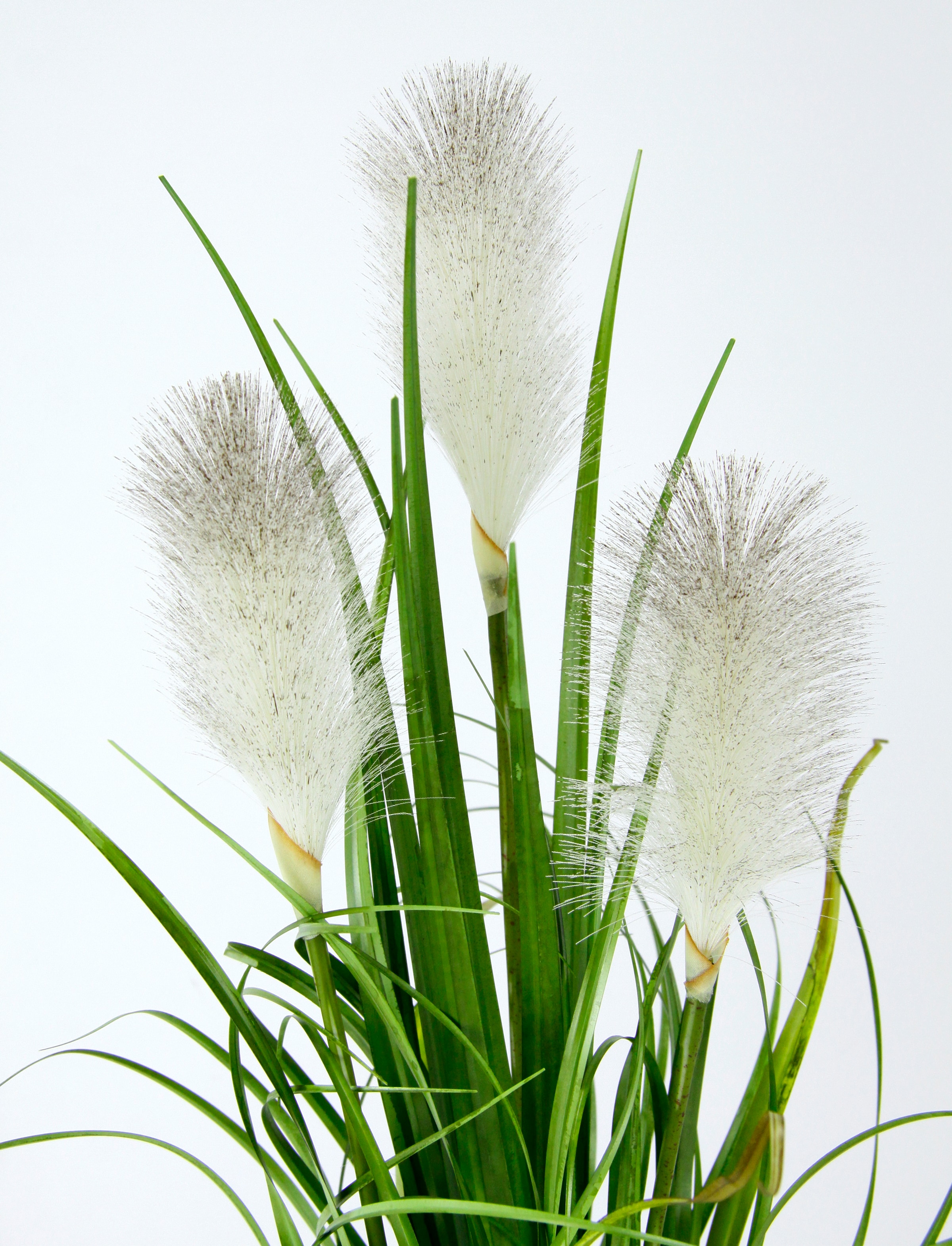 I.GE.A. Kunstpflanze »Pampasgras« Mit Übertopf, künstliches Pampas Gras