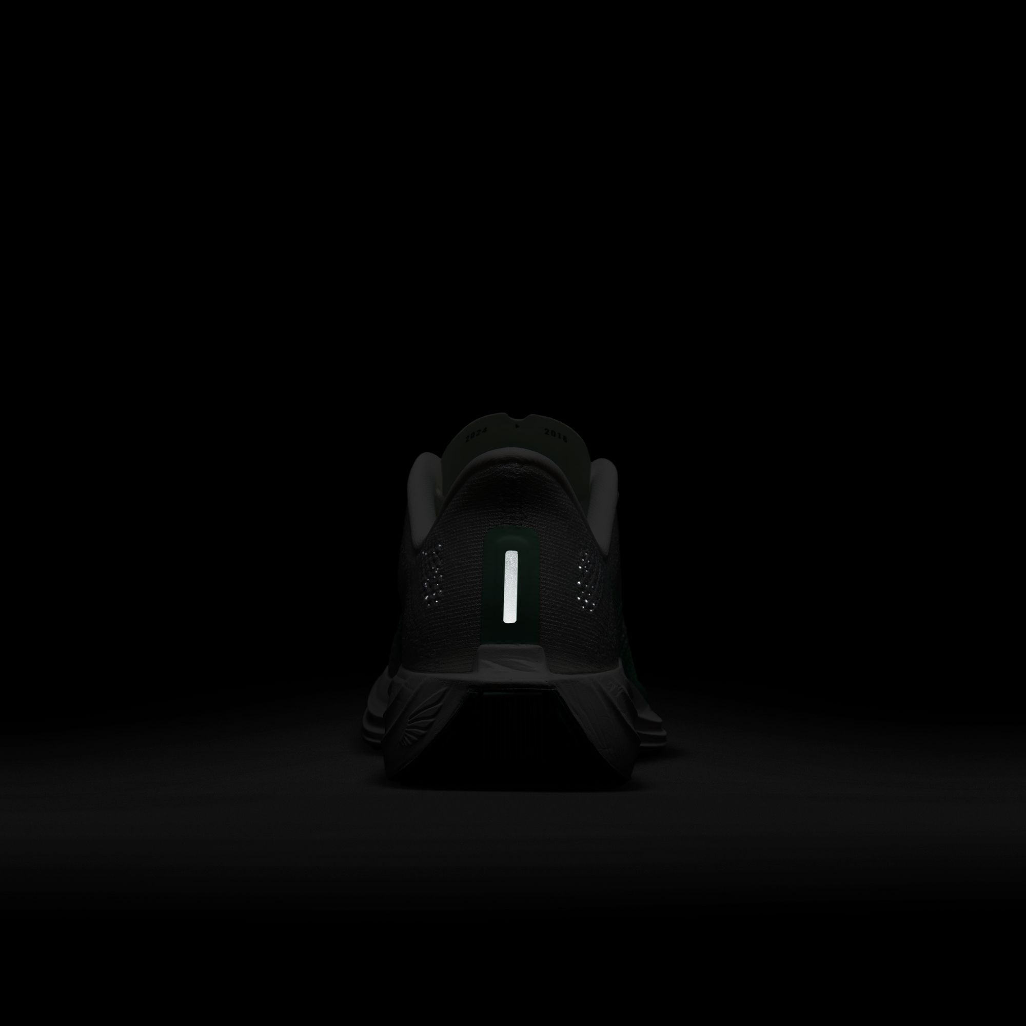 Nike Laufschuh »W PEGASUS PLUS«