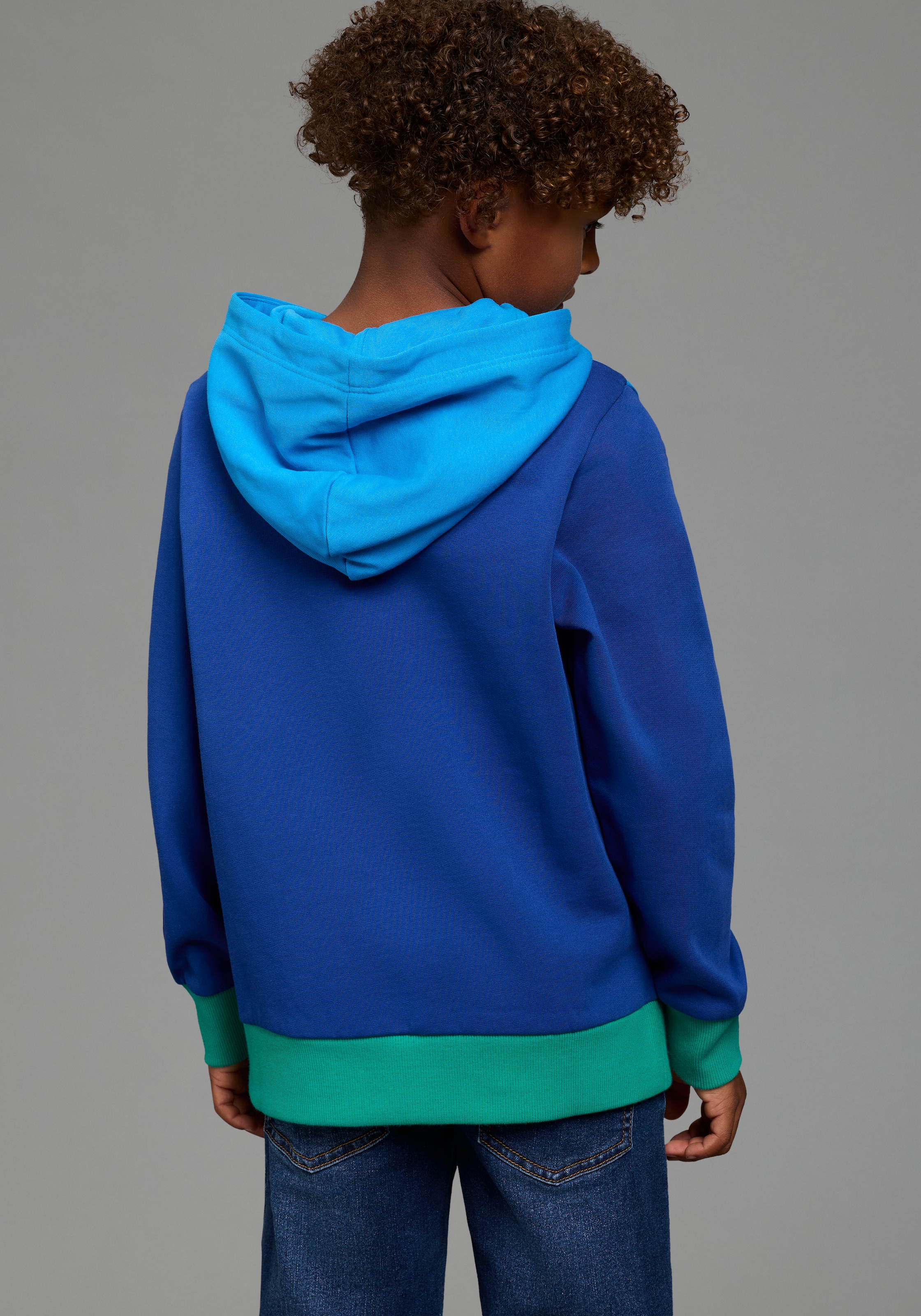 Scout Kapuzensweatshirt »Hoodie in colorblocking Design und Print - NEU von SCOUT«, Colorblocking-Sweatshirt mit Kapuze und großem Druck, Basic-Passform
