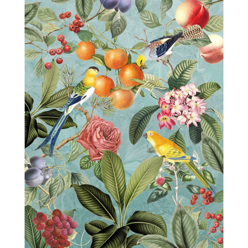 Komar Fototapete »Birds and Berries«, botanisch-tropisch-Motiv, bedruckt, botanisch, floral, Vlies, Wand, Decke, Schräge