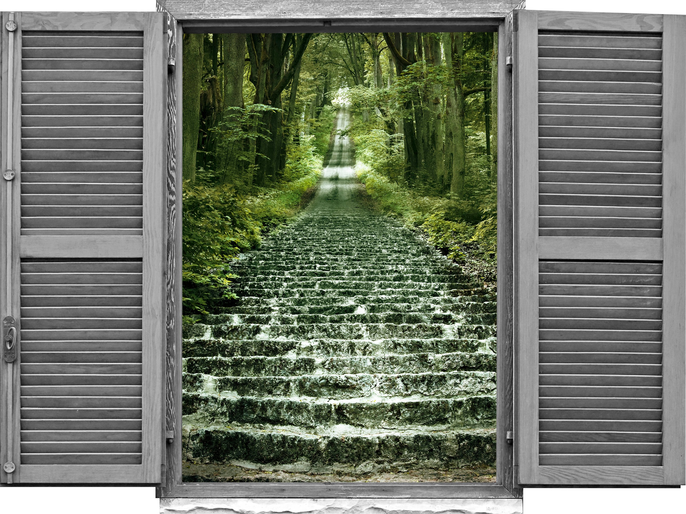 queence Wandtattoo »Waldweg II«