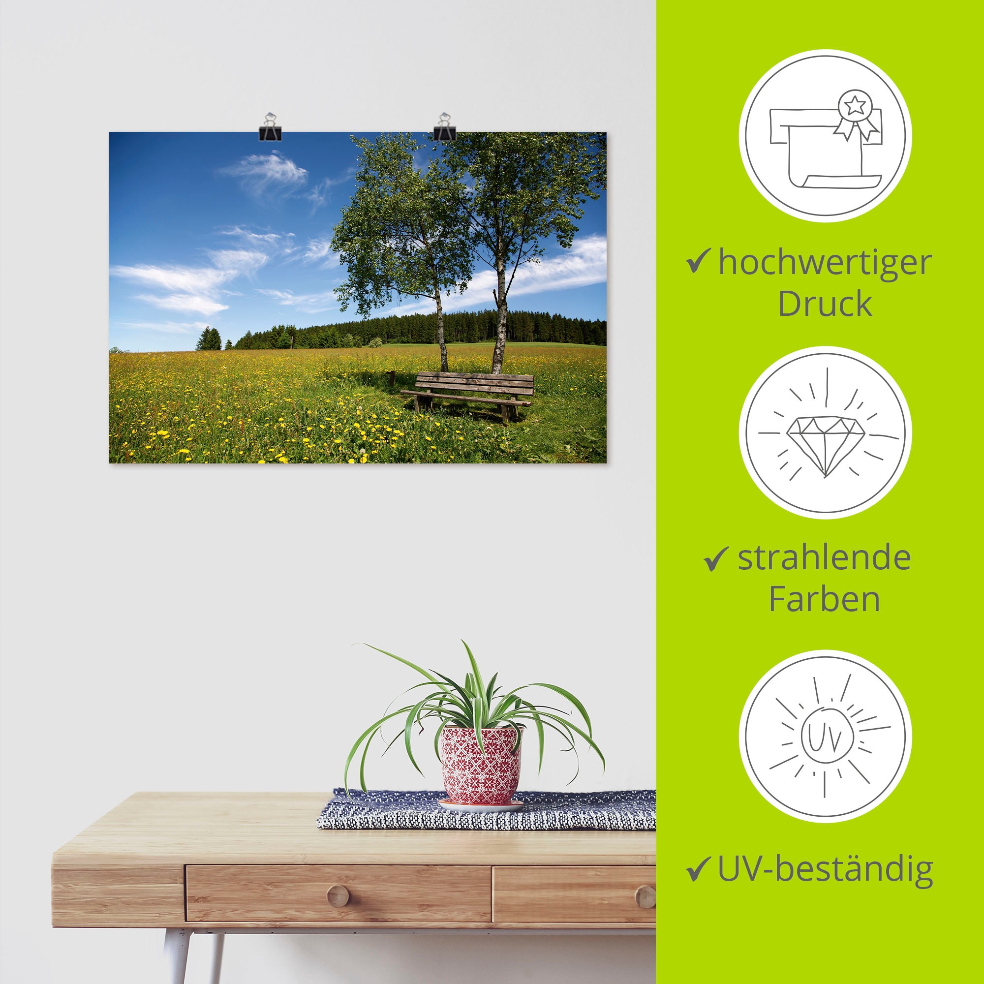 Artland Poster »Einsame Bank auf einer Löwenzahnwiese« Felder 1 Stk. tlg. ohne Rahmen