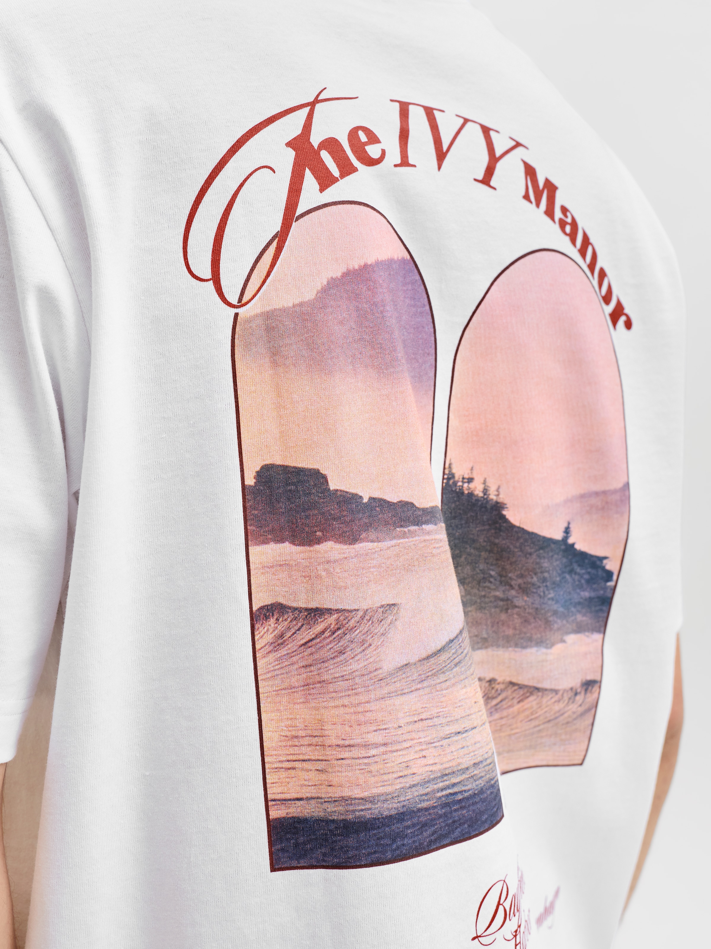 Jack & Jones T-Shirt »JORMONTAUK PHOTO BACK TEE SS CN«