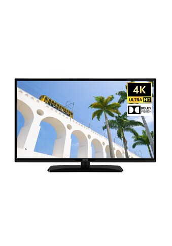 homeX LED-Fernseher »U43NT1000«, 108 cm/43 Zoll, 4K Ultra HD kaufen