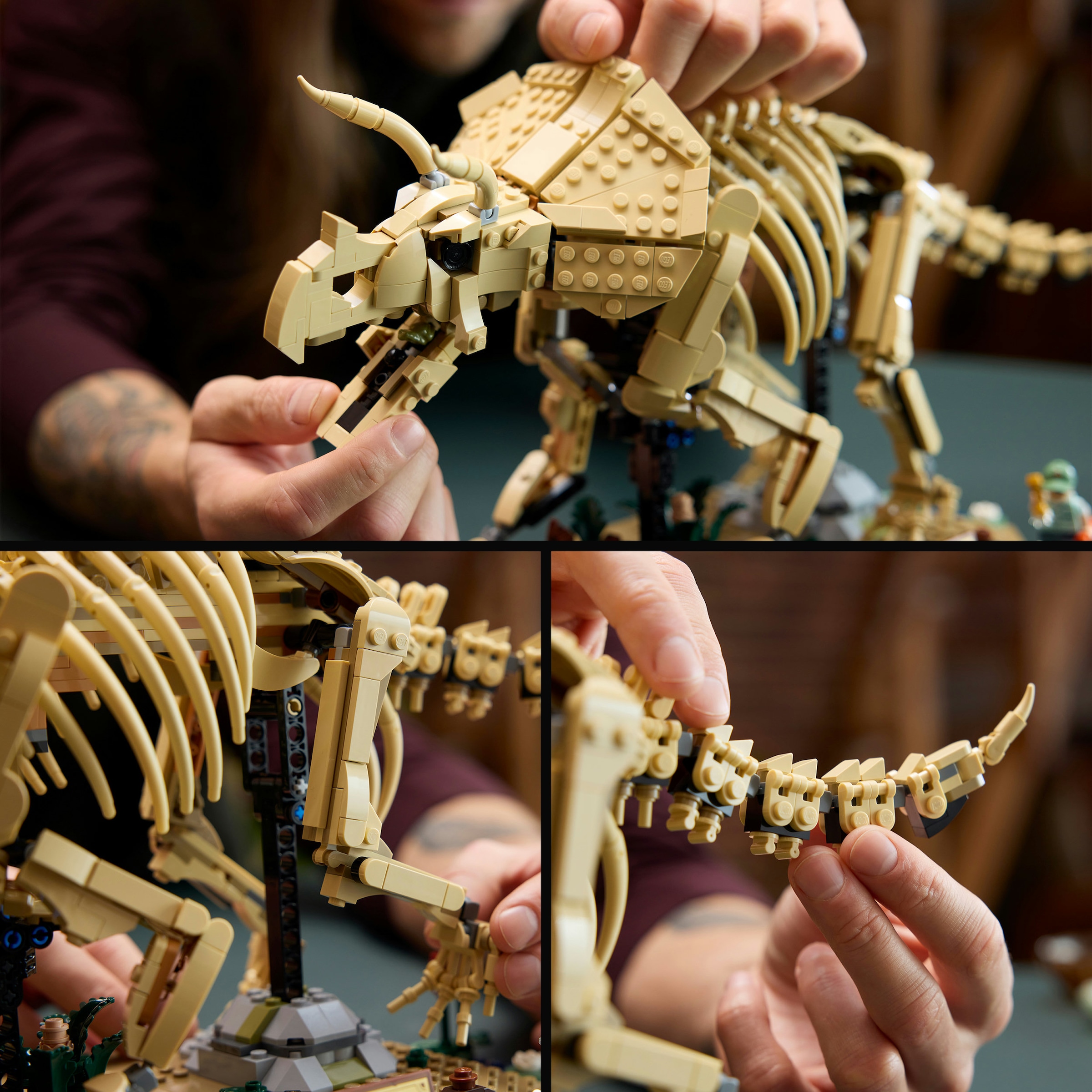 LEGO® Konstruktionsspielsteine »Dinosaurier-Fossilien: Triceratops (77985), LEGO Jurassic World« Made in Europe