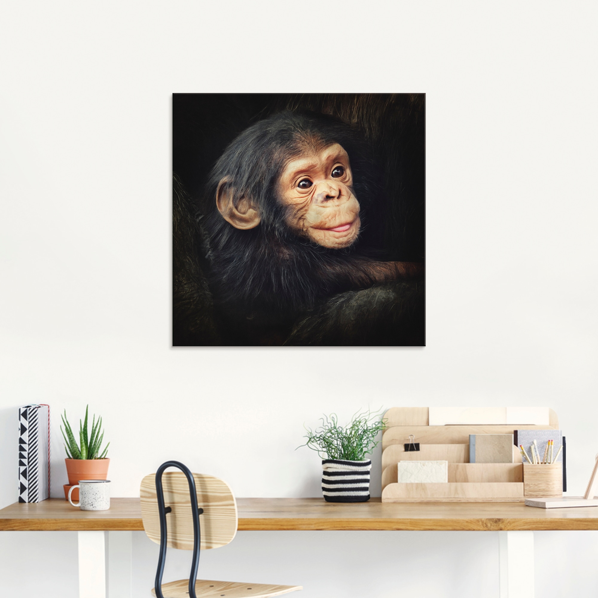 Artland Glasbild »Kleiner Schimpanse«, Wildtiere, (1 St.), in verschiedenen Größen