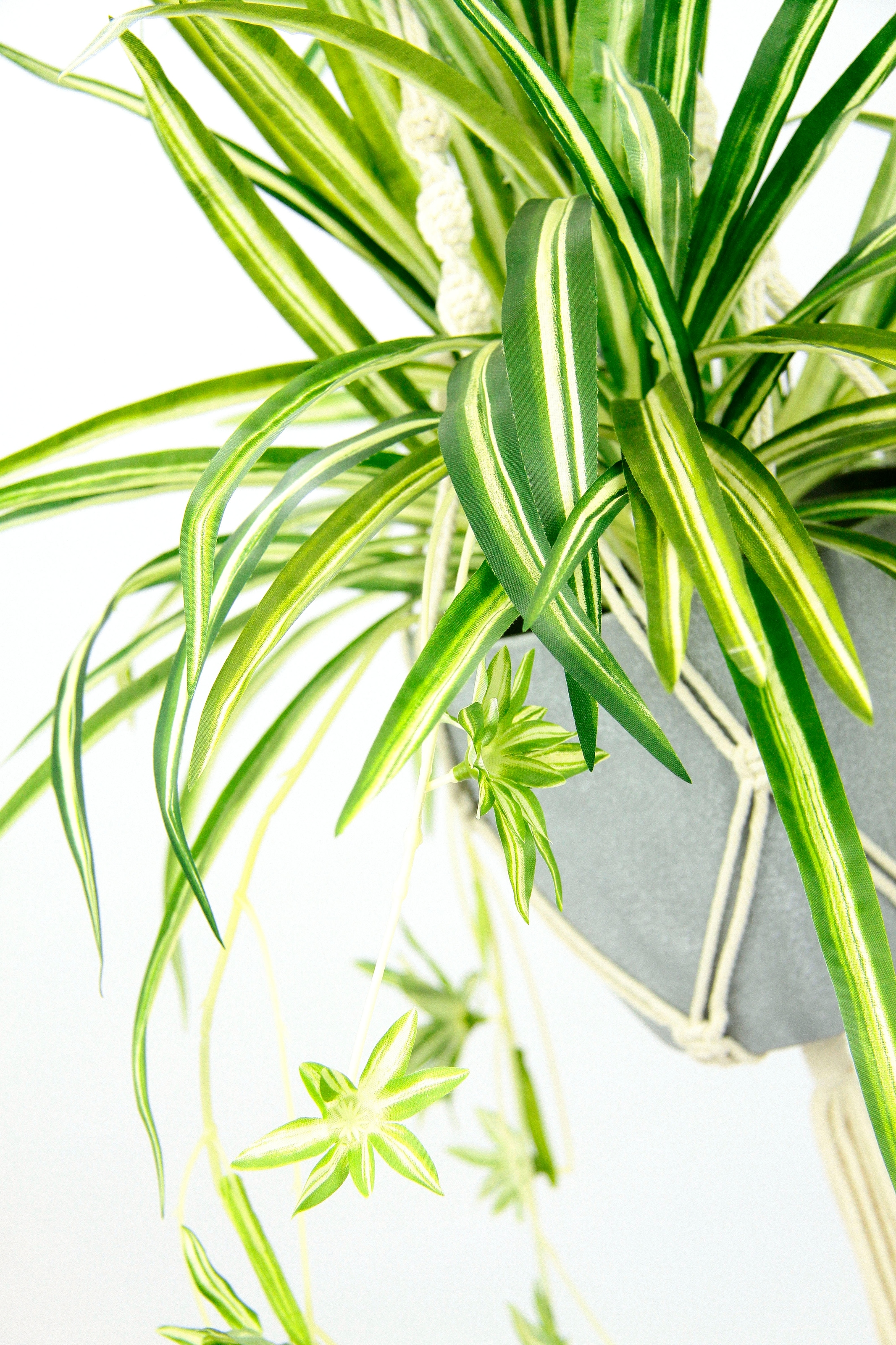 Kunststofftopf, mit »Wasserlilie«, Hängeampel I.GE.A. im Zimmerpflanze Künstliche