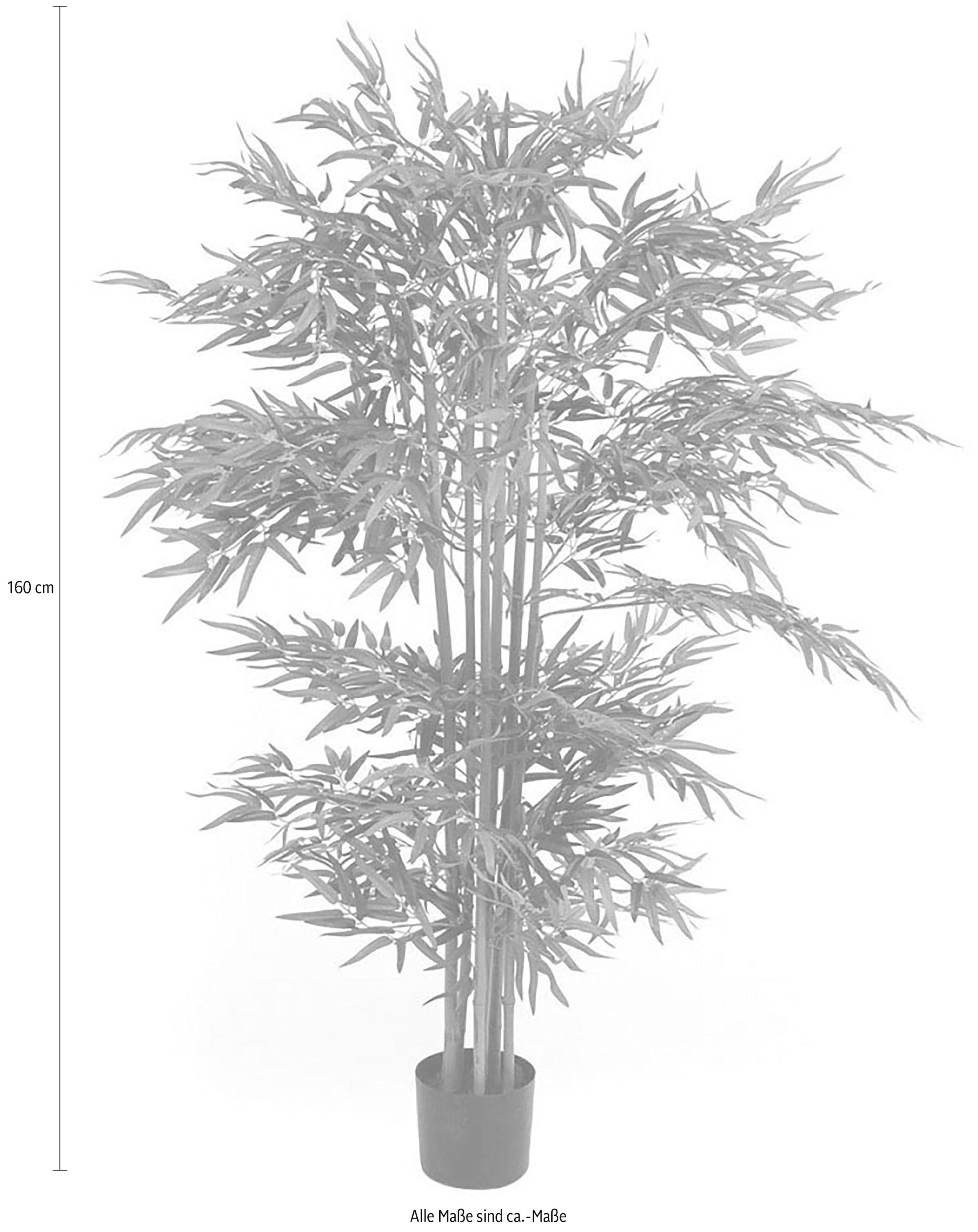 Schneider Kunstpflanze »Bambusbaum«, (2 St.)