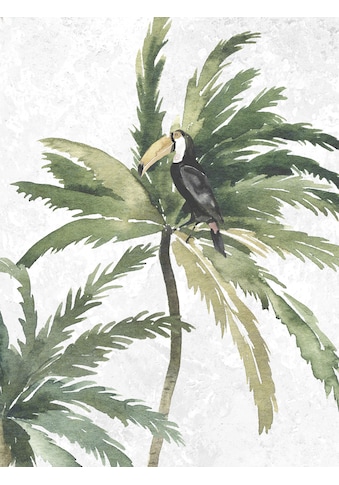 Komar Poster »Tropical Toucan«, (1 St.) kaufen