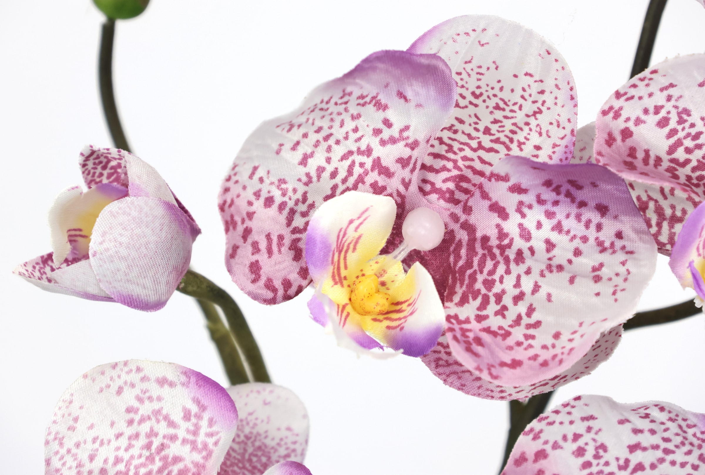 I.GE.A. Kunstpflanze »Orchidee«