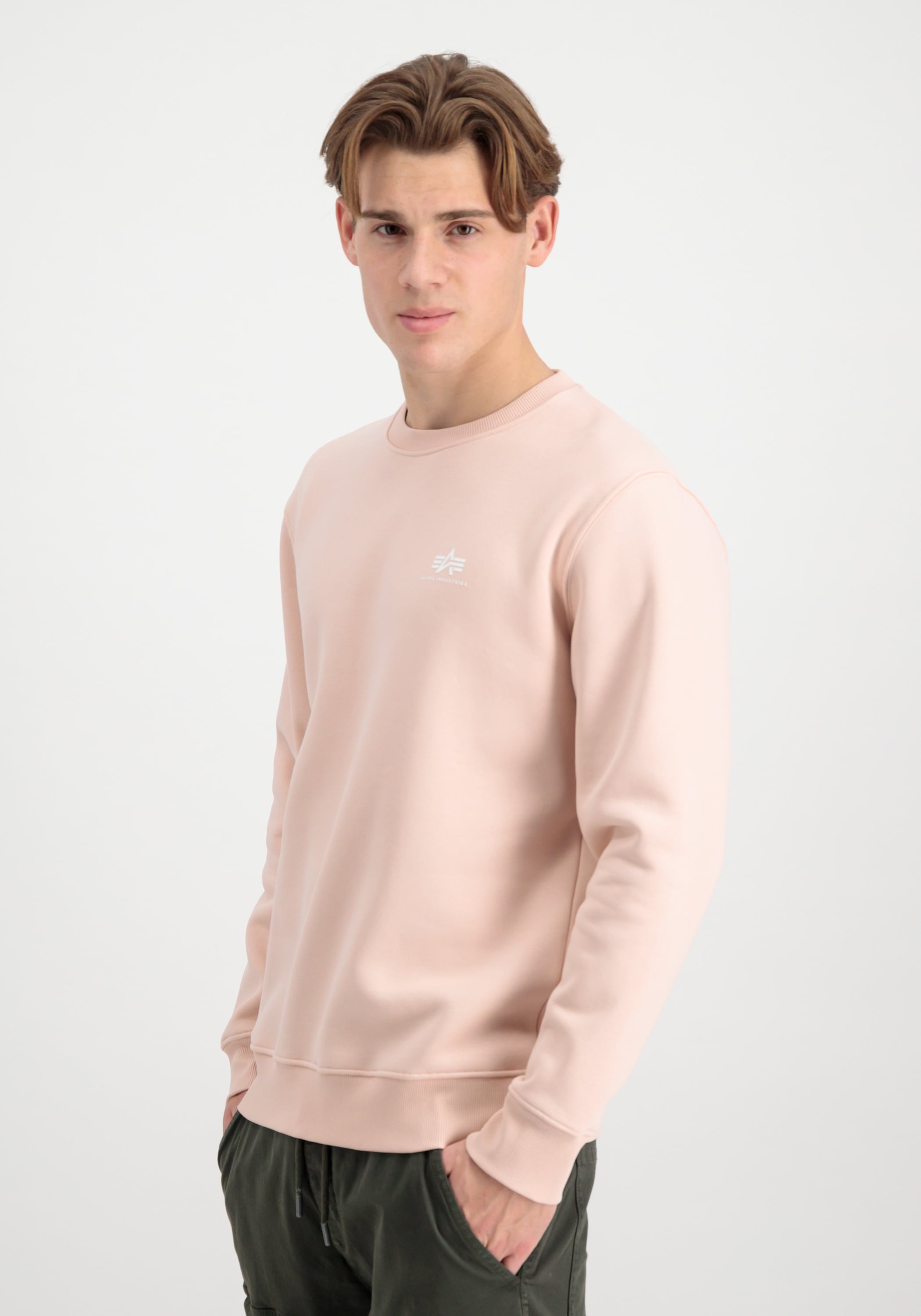 Alpha Industries Sweater »Basic Sweatshirt SL«
