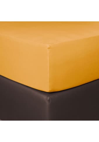 BETTWARENSHOP Spannbettlaken »Boxspring«, (1 St.), elastisch für extra hohe Matratzen kaufen