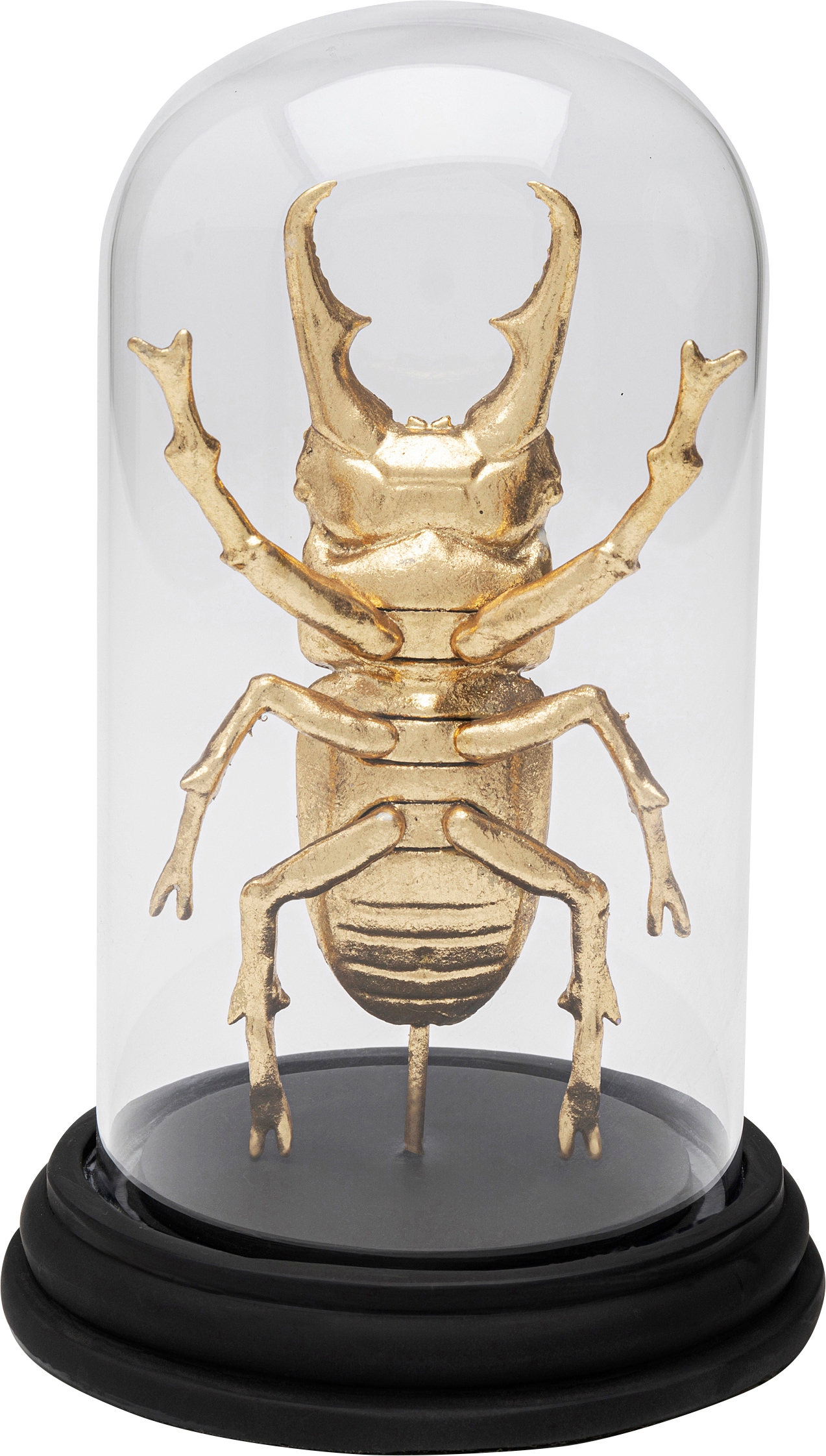 Kare Design Dekoobjekt »Hercules Beetle 20cm«