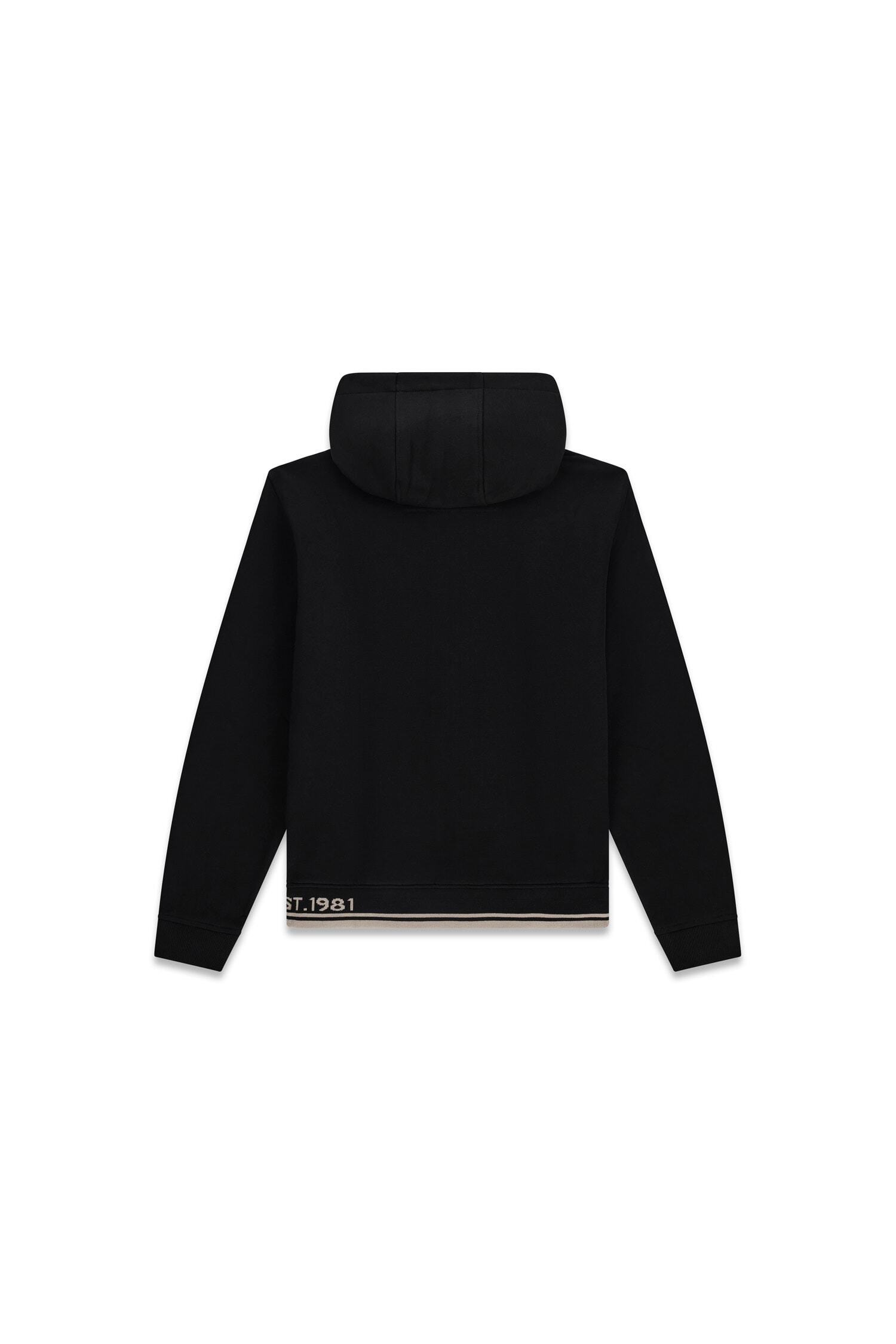 Guess Kapuzensweatjacke Kapuze mit Kordelzug, Regular Fit, Baumwoll-Mix