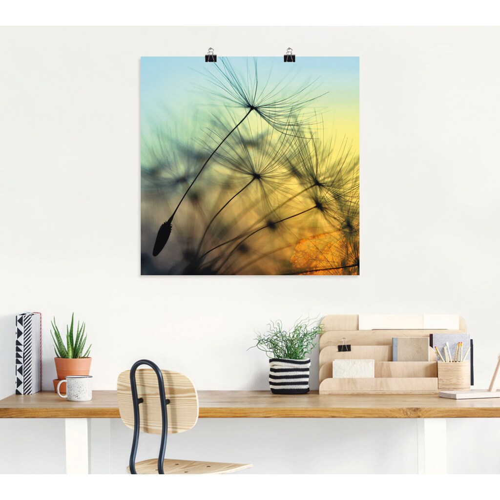 Artland Wandbild »Goldener Sonnenuntergang und Pusteblumen«, Blumen, (1 St.)