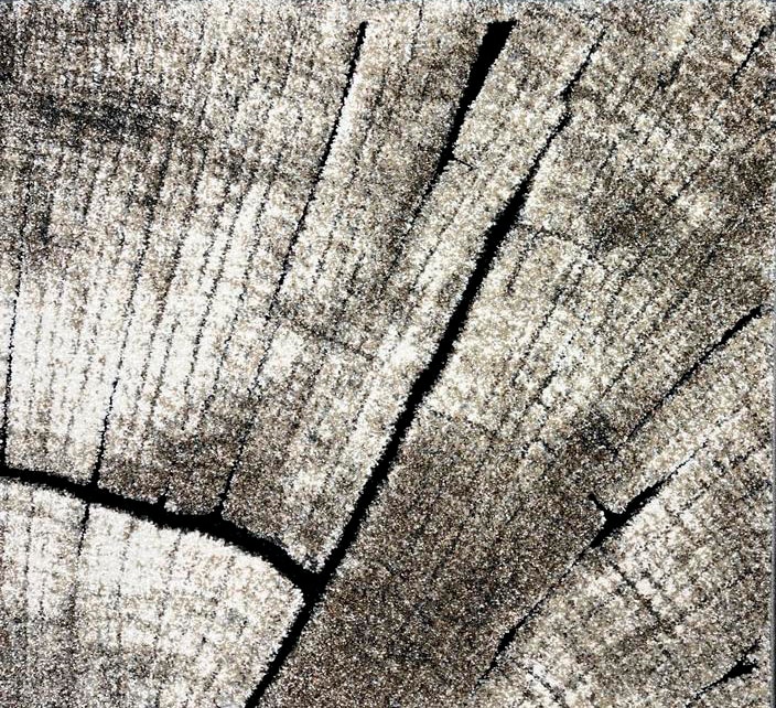 merinos Teppich »Ibiza 605«, rechteckig, 13 mm Höhe, Wohnzimmer, Baumstamm Motiv, Holz Optik