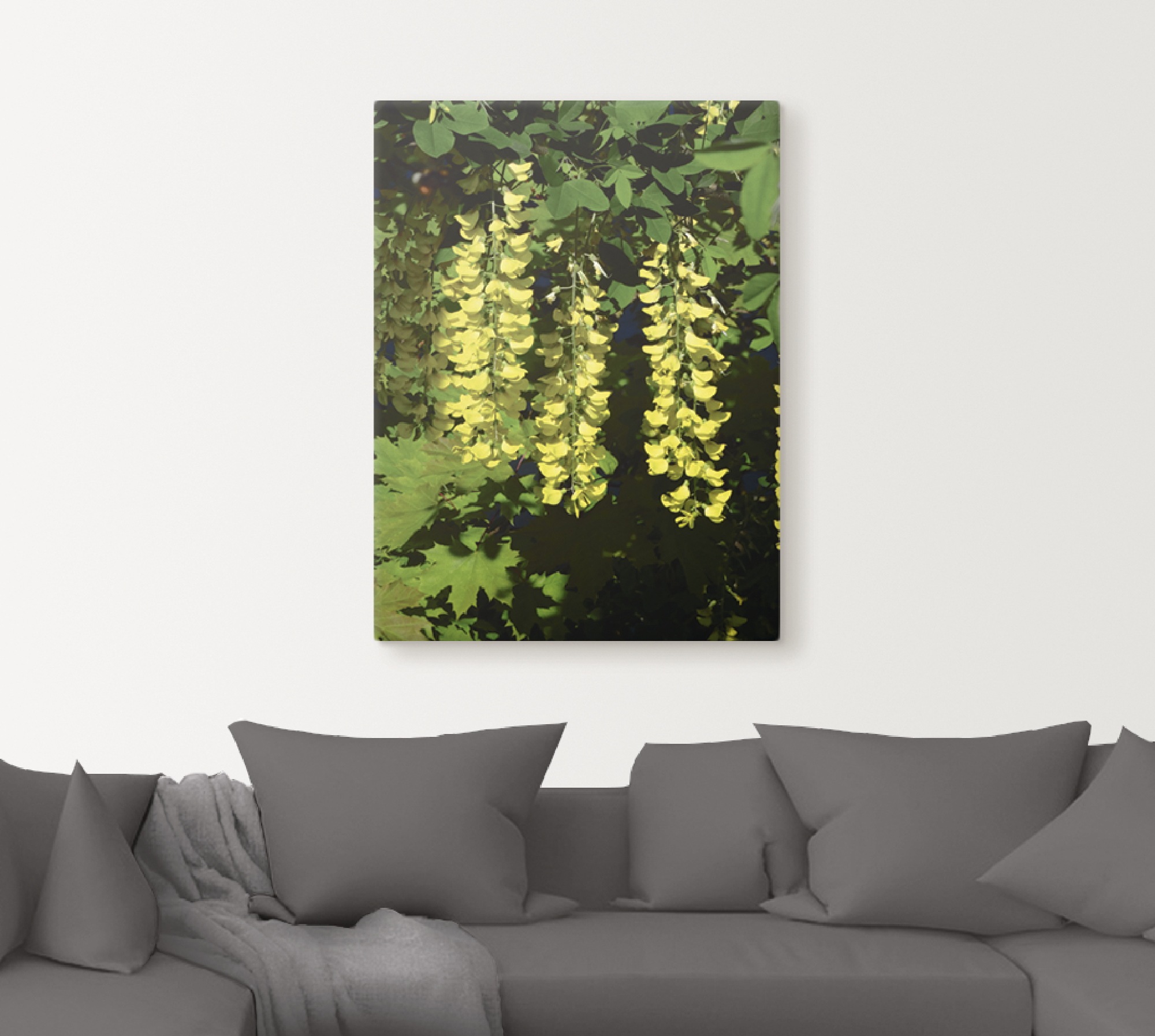 Artland Wandbild »Goldregen«, Bäume, (1 St.), als Alubild, Leinwandbild, Wandaufkleber oder Poster in versch. Größen