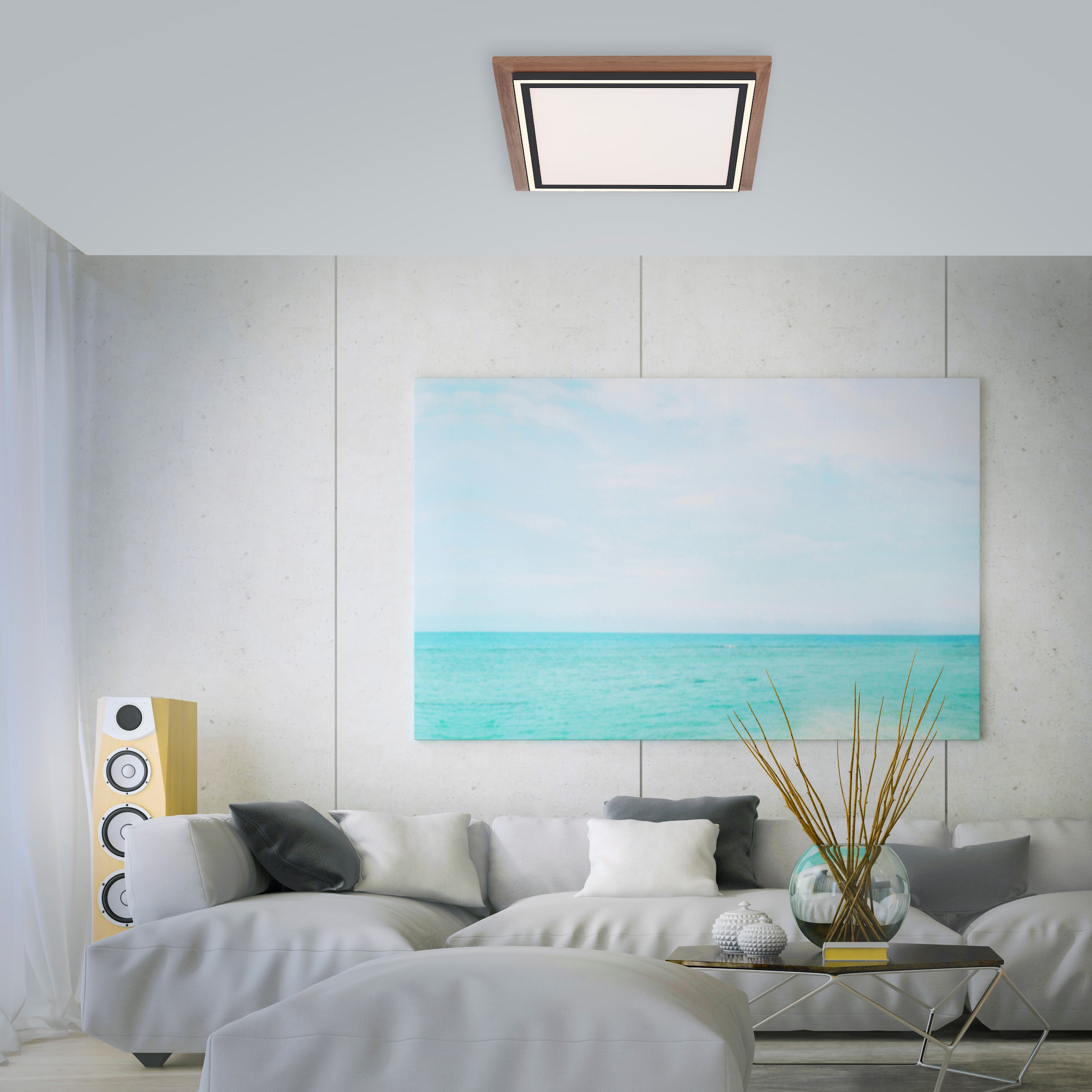 Paul Neuhaus Deckenleuchte »PALMA«, 2 flammig, Leuchtmittel LED-Board-LED-Board | LED fest integriert, CCT - über Fernbedienung, dimmbar über Fernbedienung, Serienschalter