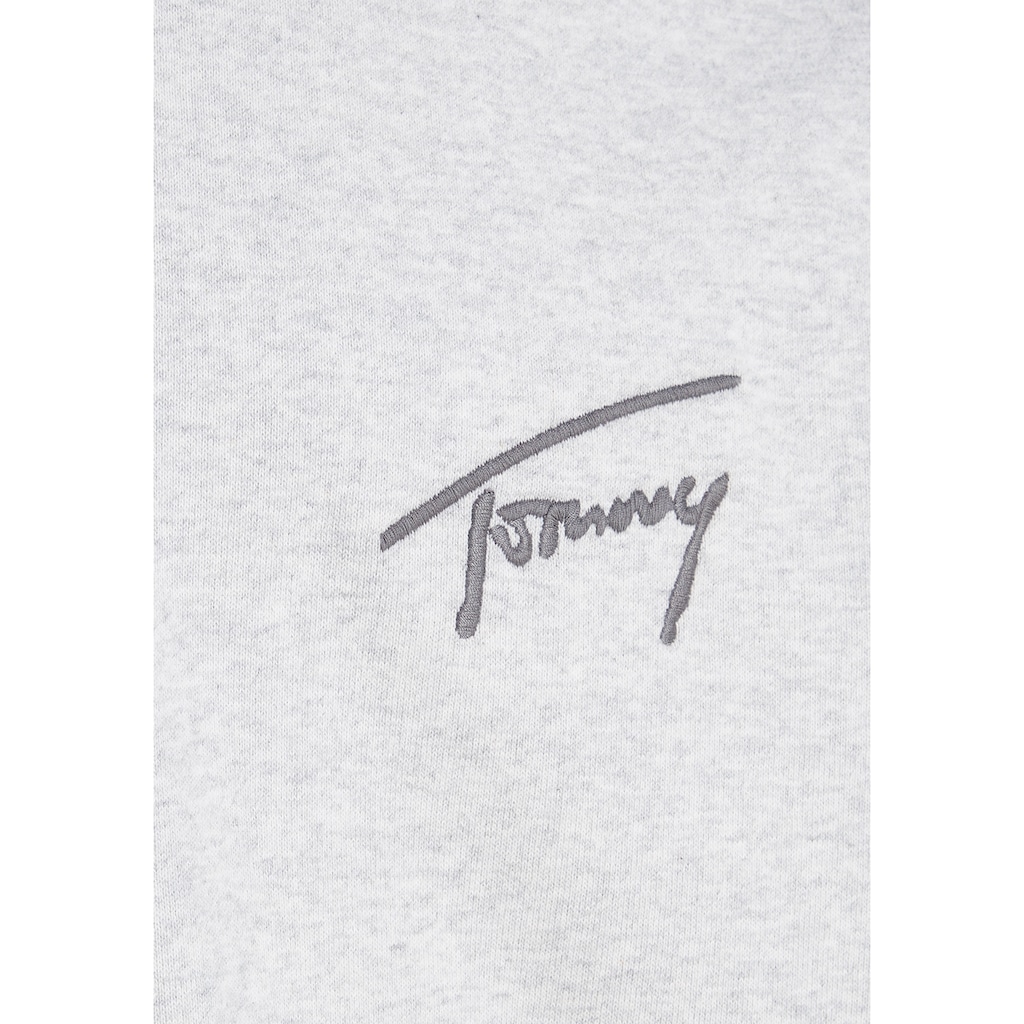 Tommy Jeans Plus Kapuzensweatshirt »TJM RLX SIGNATURE HOODIE EXT«