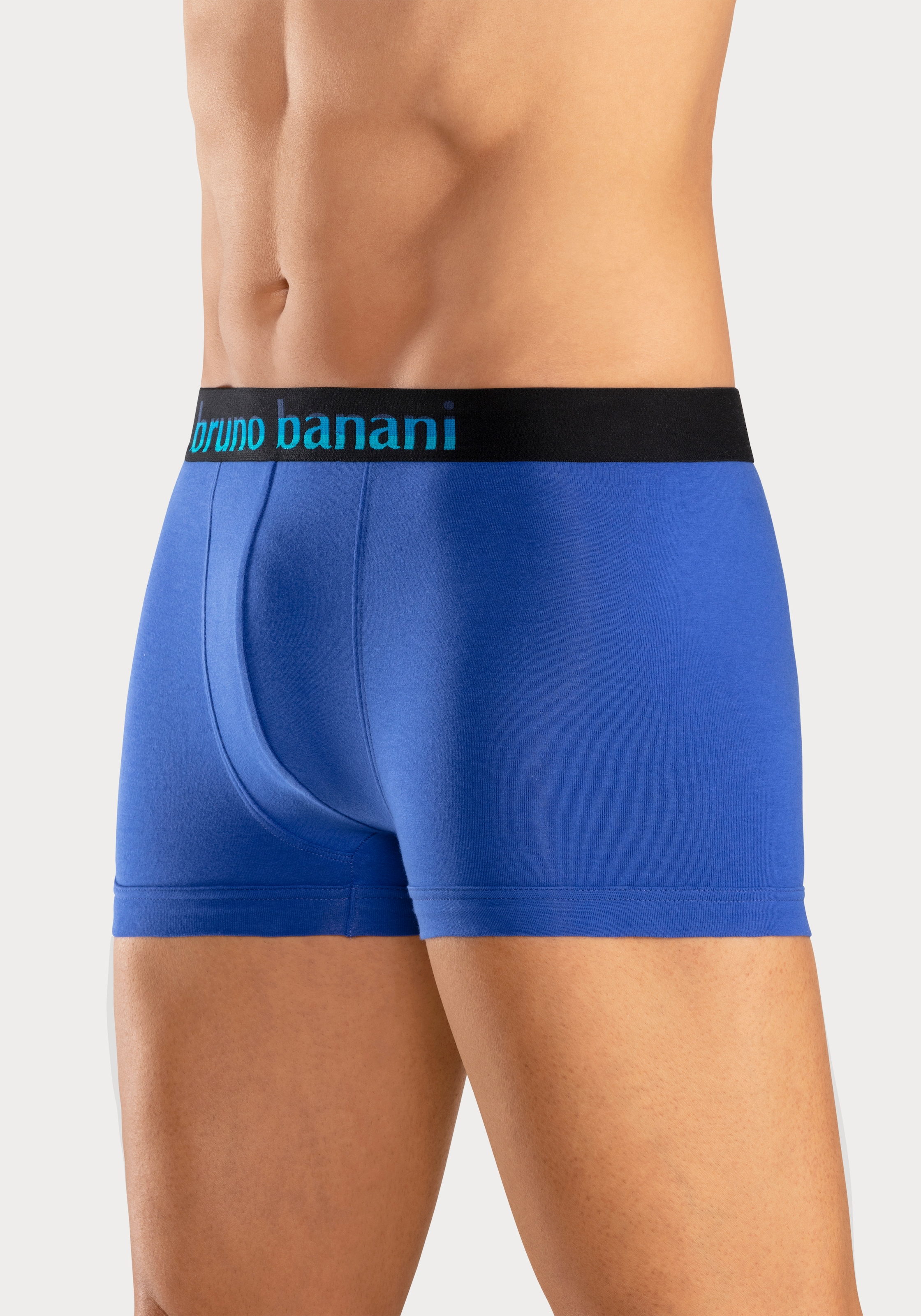 Bruno Banani Boxer »Boxershorts für Herren«, (Packung, 5 St.), mit Streifen Logo Webbund