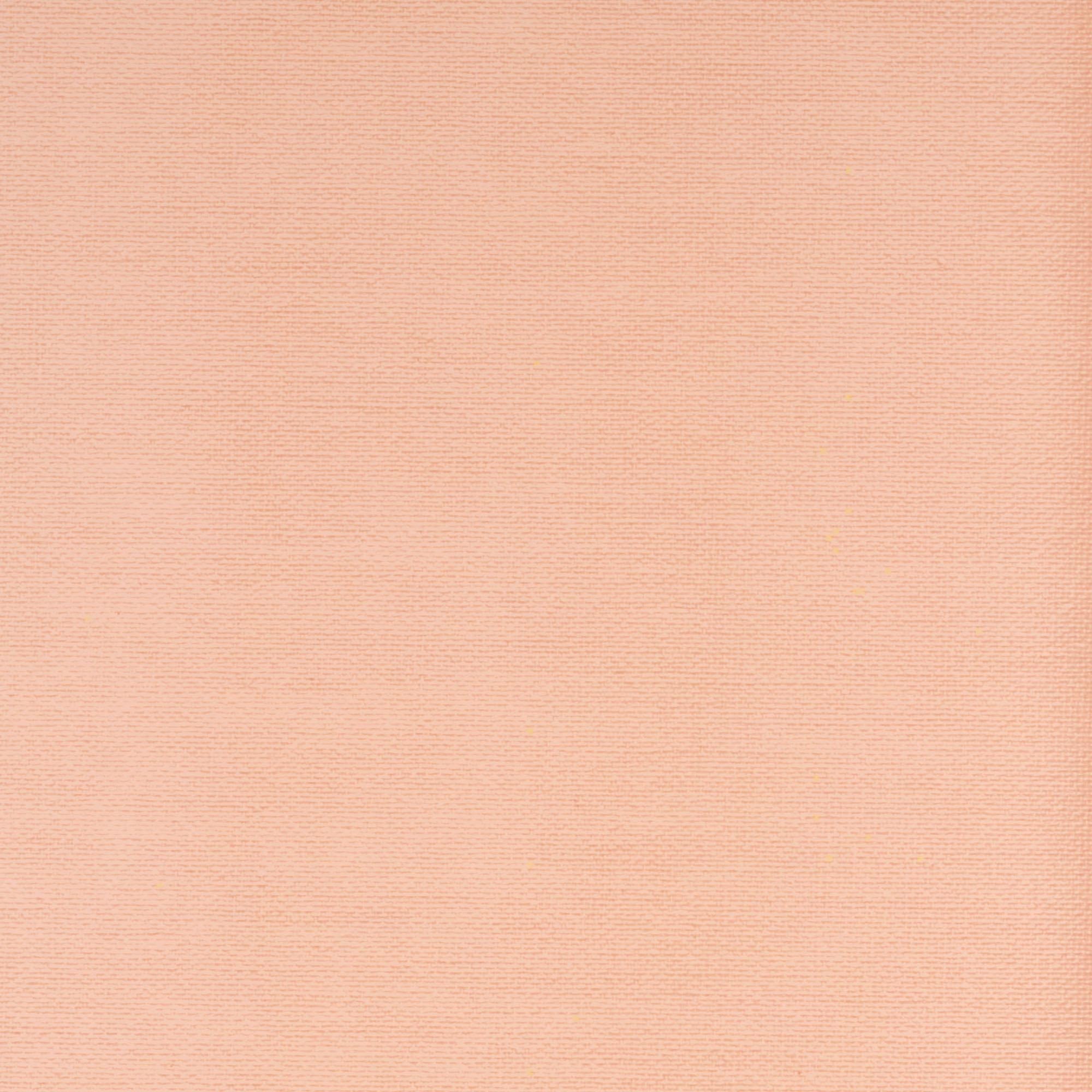 Liedeco Schiebegardine Klettband 1 Stk. tlg. HxB: 245x60, ohne Paneelwagen