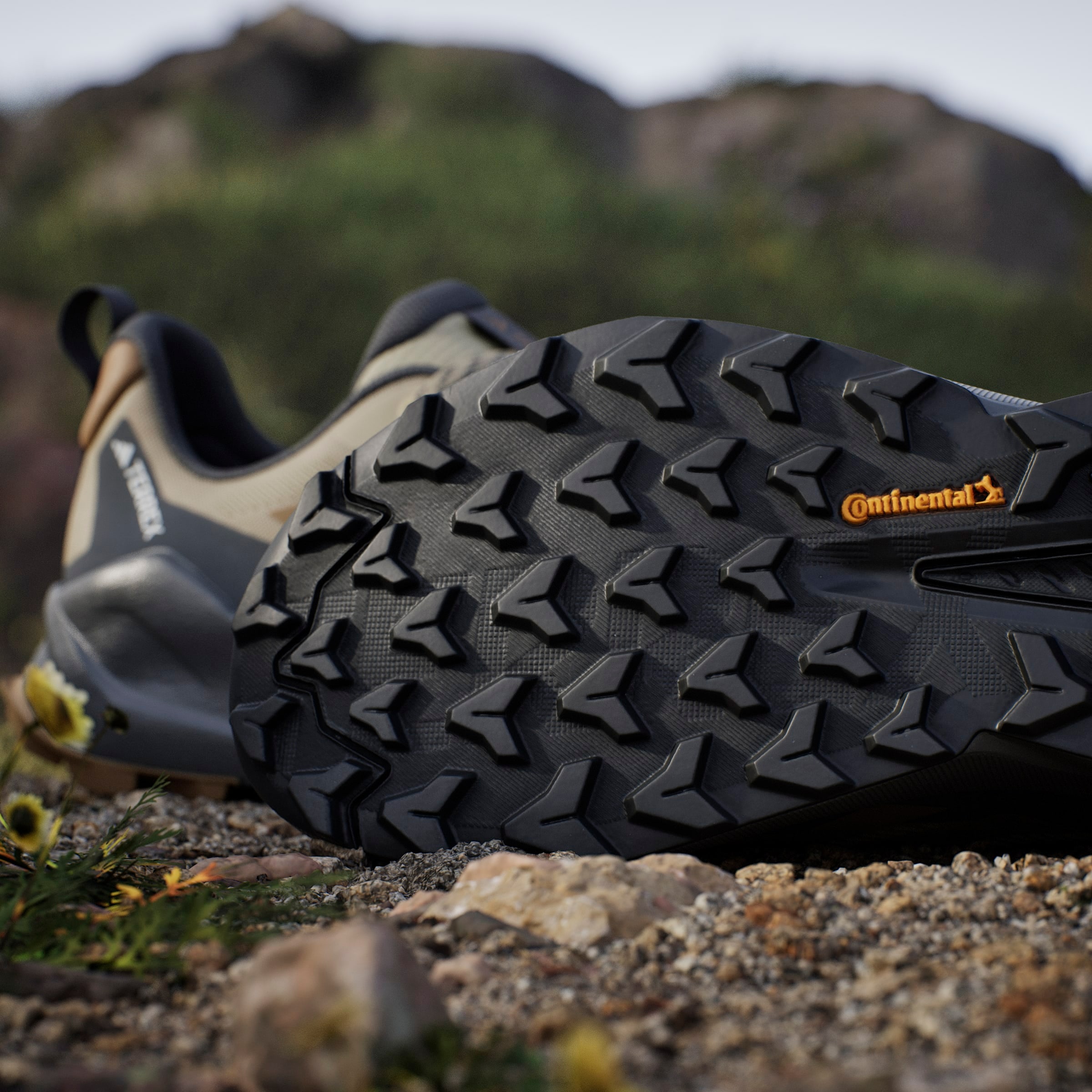 adidas TERREX Wanderschuh »TRAILMAKER 2«