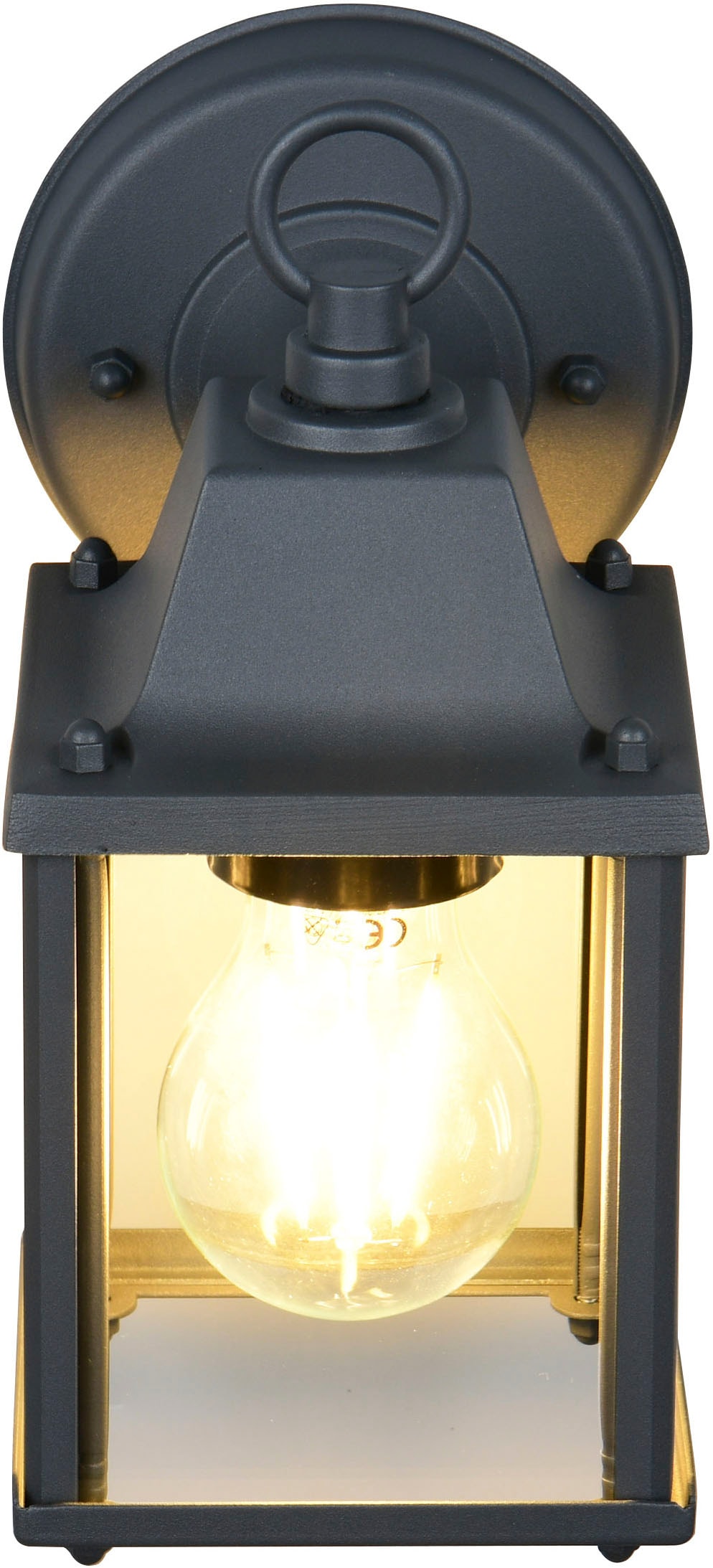 TRIO Leuchten Außen-Wandleuchte »MIRANDE, Hauswand Leuchte Laterne mit Glasschirm, exkl 1x E27 max 40W« E27 1 Stk. warmweiß - kaltweiß IP23, Outdoor Wandlampe für wechselbare Leuchtmittel Höhe 23cm