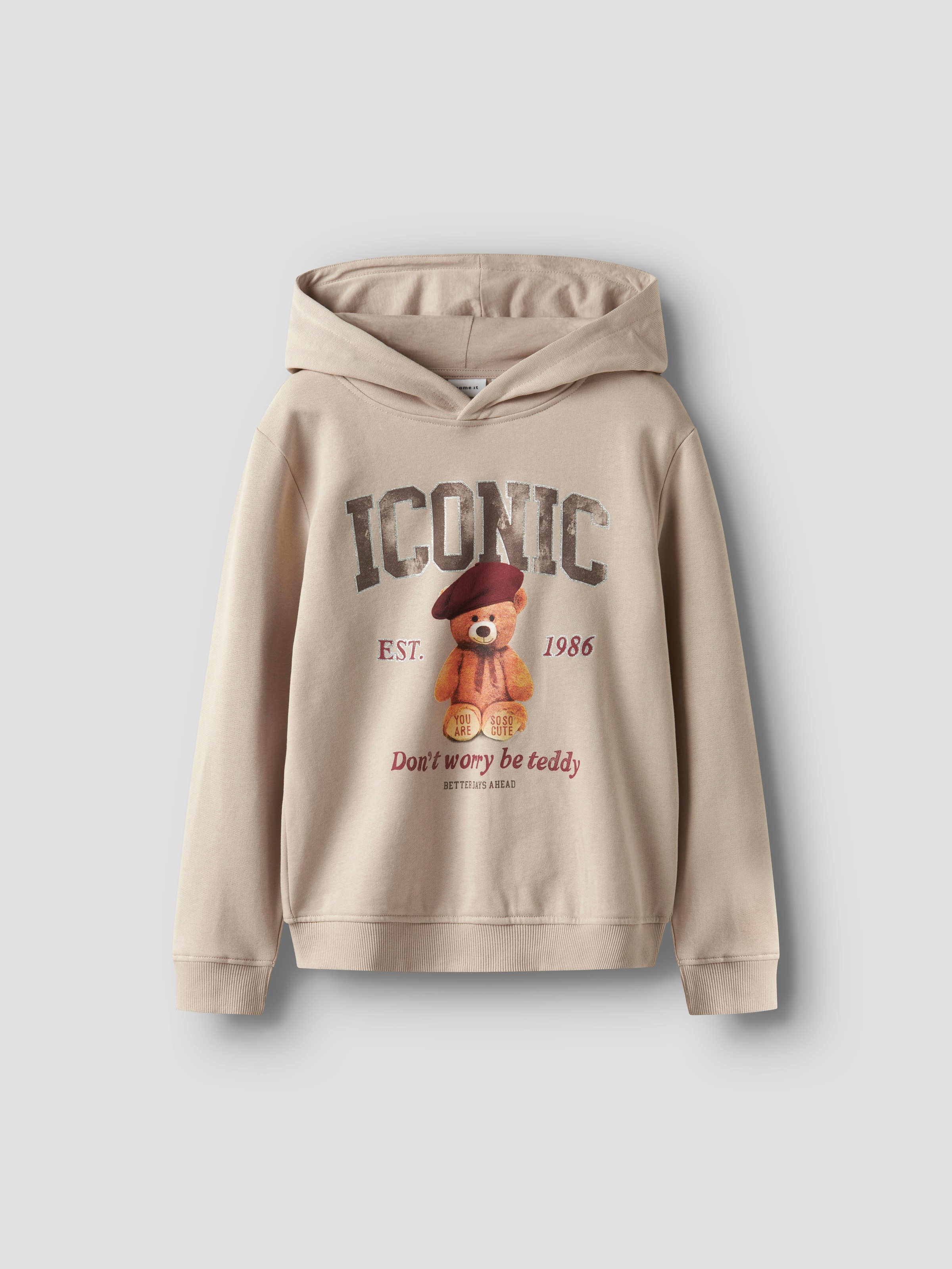 Name It Hoodie »NKFRYCCA LS NREG SWEAT WH BRU BOX«
