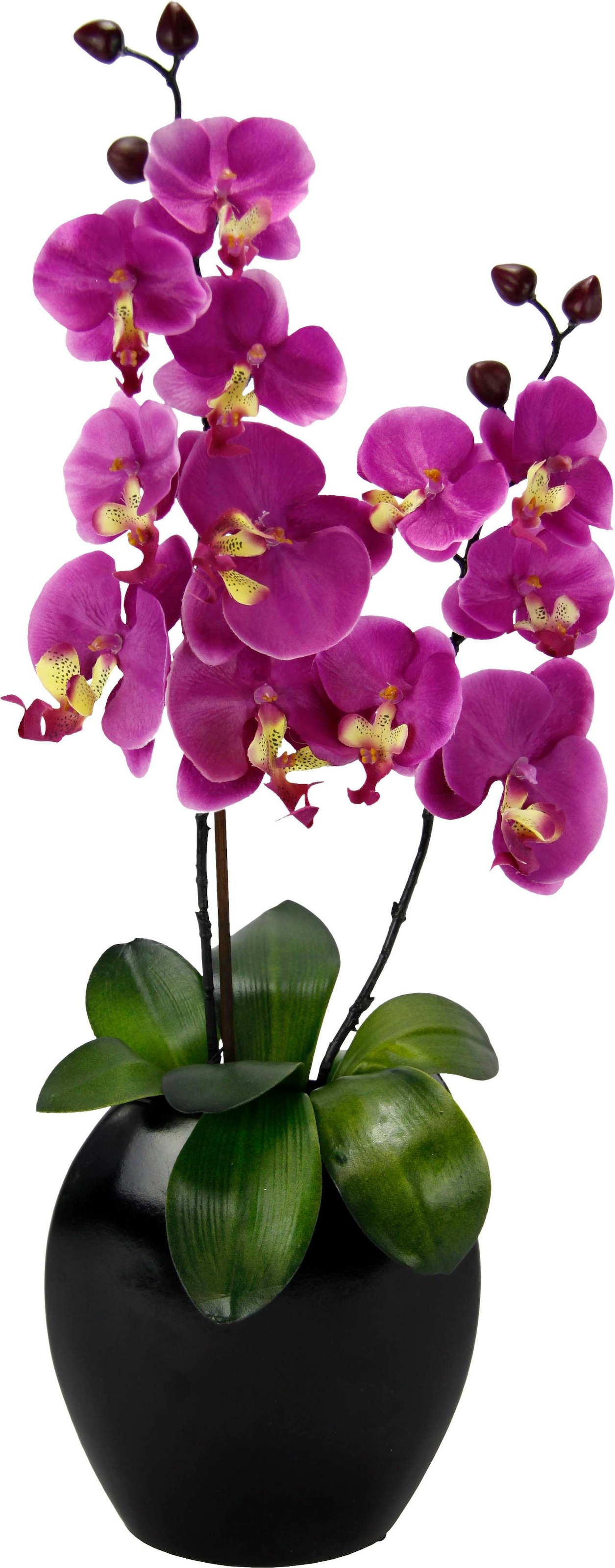 Kunstpflanze »Phalaenopsis in Vase«