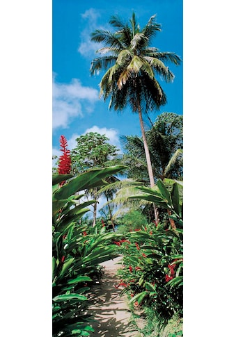 Papermoon Fototapete »Palm Path - Türtapete«, matt, Vlies, 2 Bahnen, 90 x 200 cm kaufen