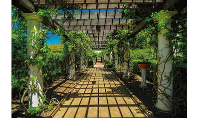 Papermoon Fototapete »Garden Walkway« kaufen