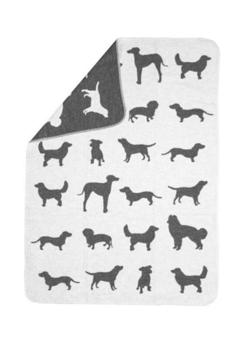 DAVID FUSSENEGGER Tierdecke, Hunde, kuschelige Tierdecke "Hunde allover" - Made in... kaufen
