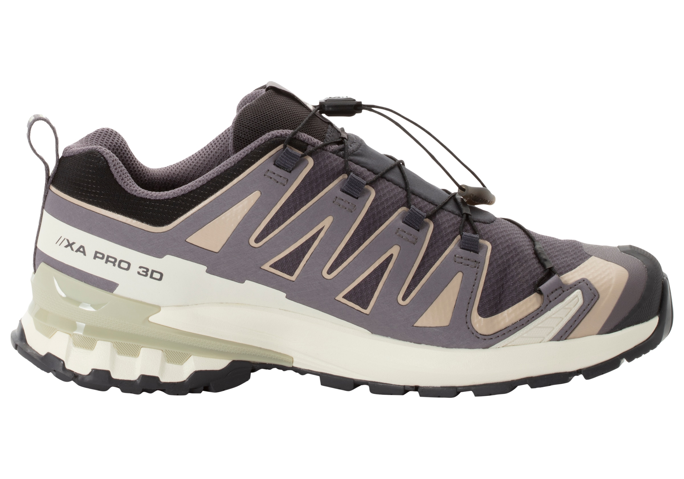 Salomon Trailrunningschuh »XA PRO 3D V9 GORE-TEX W«, wasserdicht
