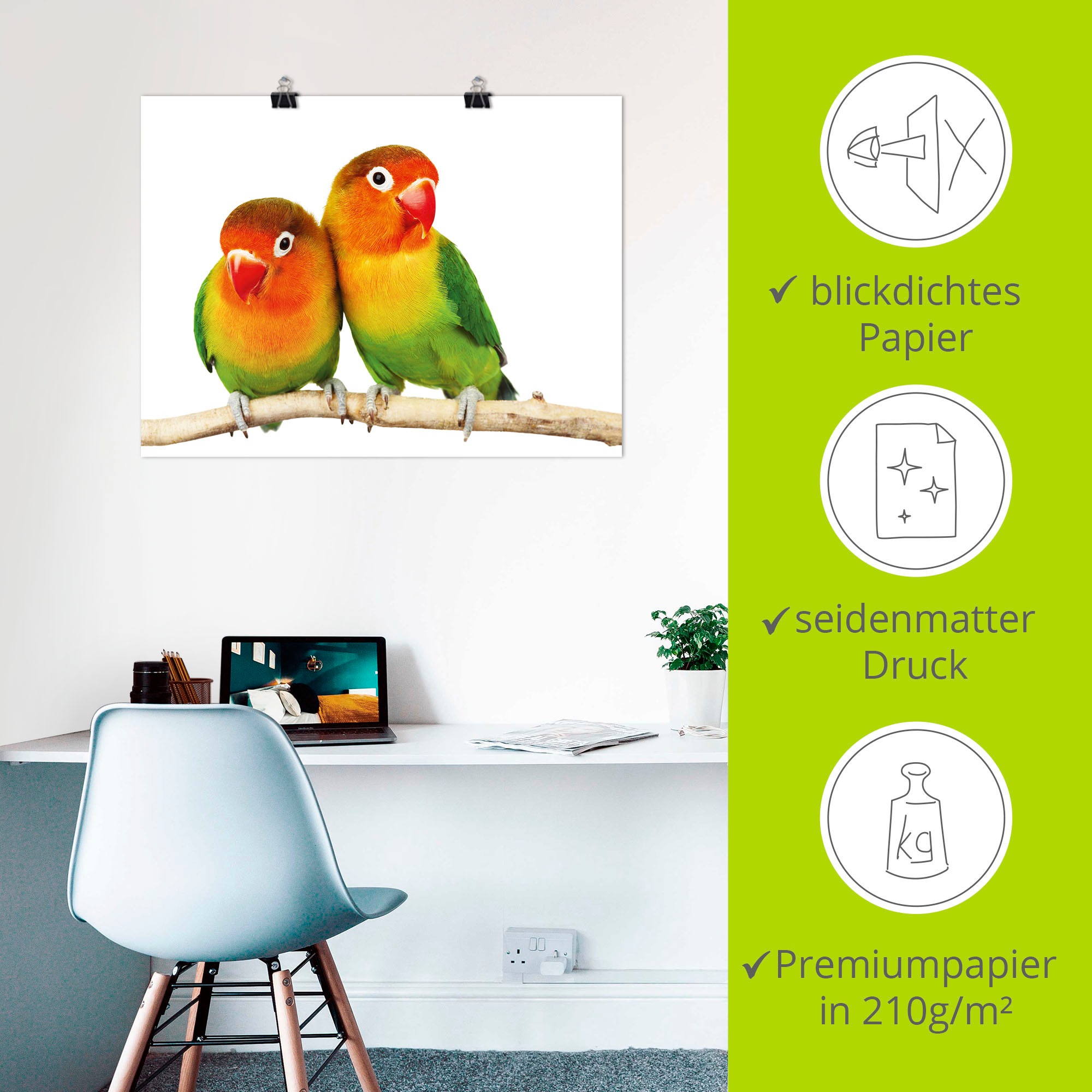 Artland Wandbild »Paar von Grauköpfchen - Papageien«, Vögel, (1 St.), als Leinwandbild, Poster, Wandaufkleber in verschied. Größen