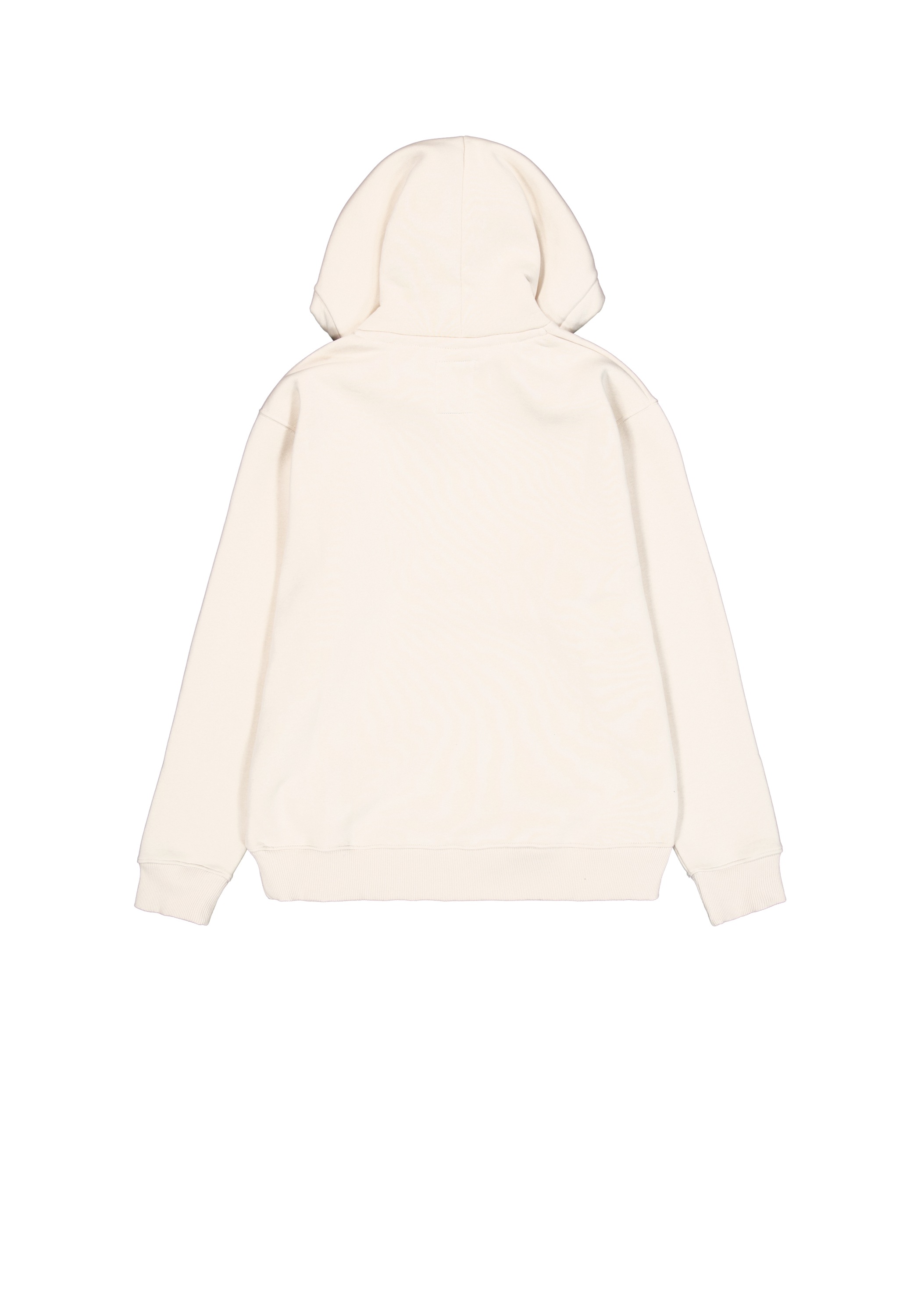 Alpha Industries Hoodie »Alpha Industries Men - Hoodies Basic Hoodie SL«