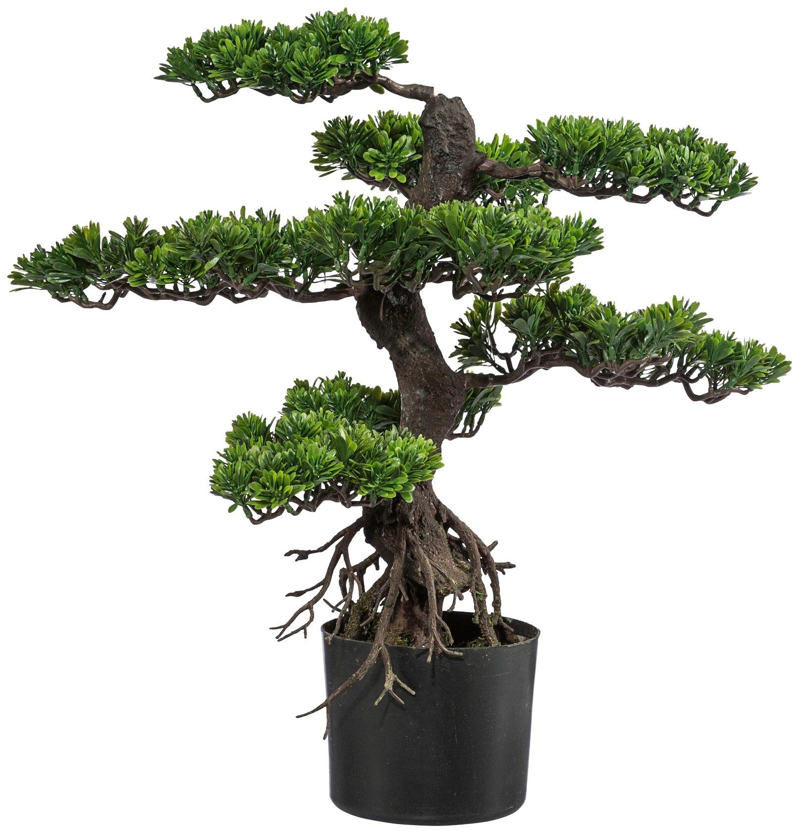 Creativ Green Kunstbonsai »Bonsai« in grün, Größe B/H/L: 75 cm