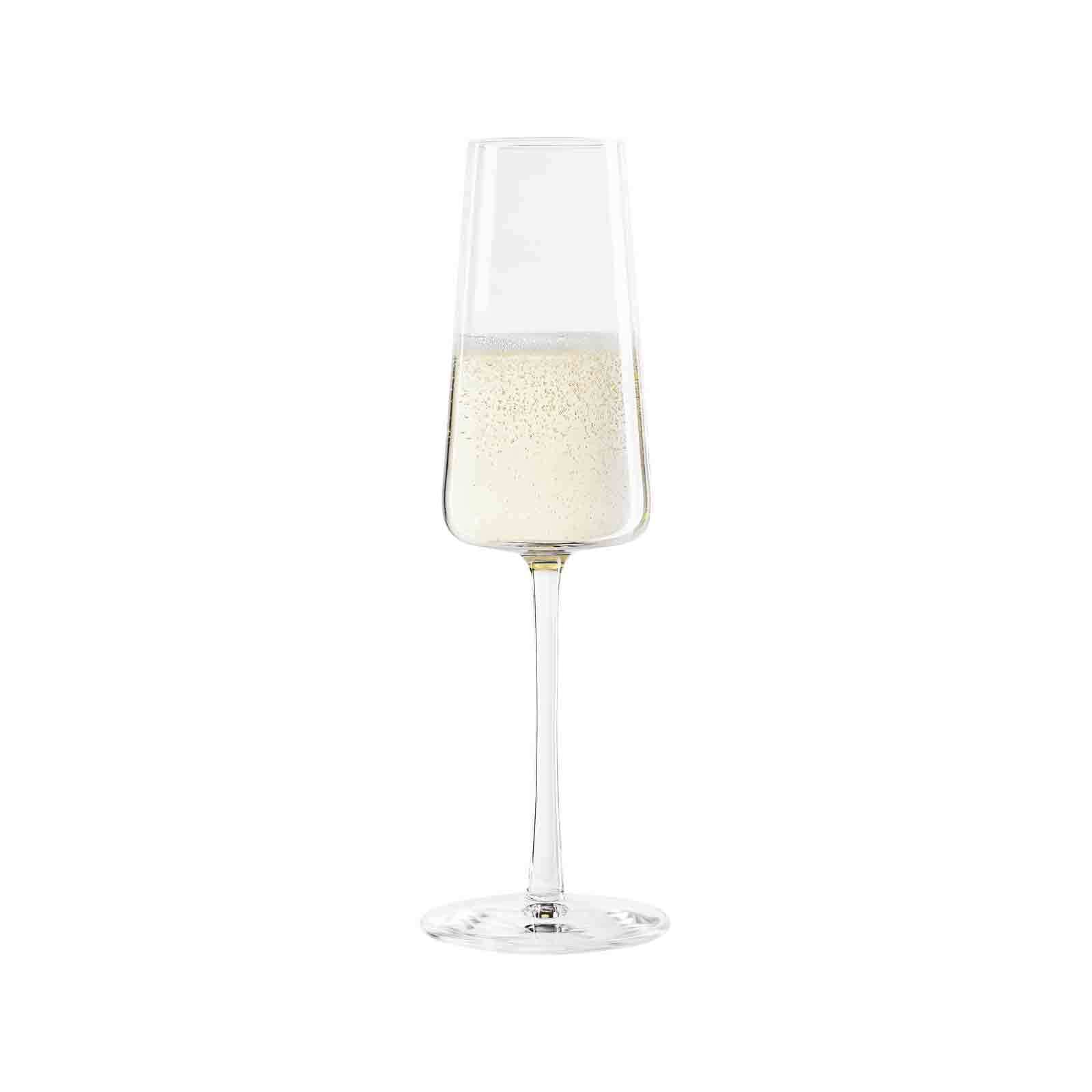 Stölzle Champagnerglas »Champagnergläser Power 240 ml 12er Set transparent«