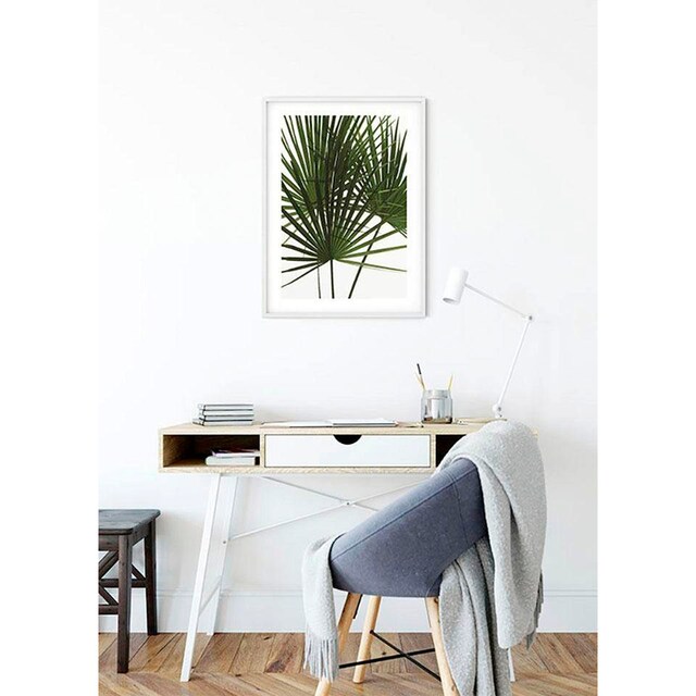 Komar Poster »Palmtree Leaves«, Pflanzen, (1 St.), Kinderzimmer,  Schlafzimmer, Wohnzimmer kaufen bei OTTO