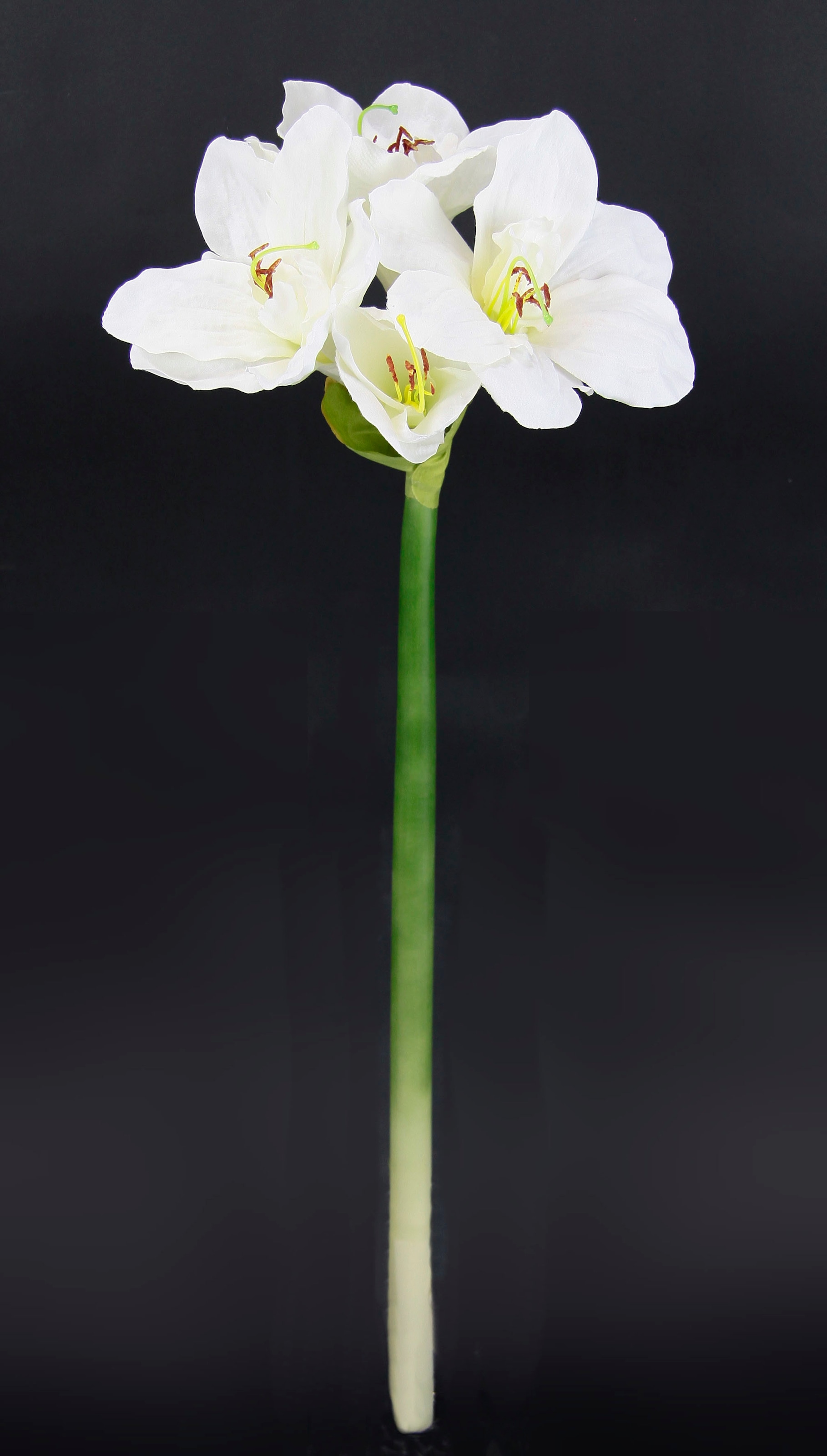 I.GE.A. Kunstblume »Amaryllis«, Kunst-Stielblume, 3er Set