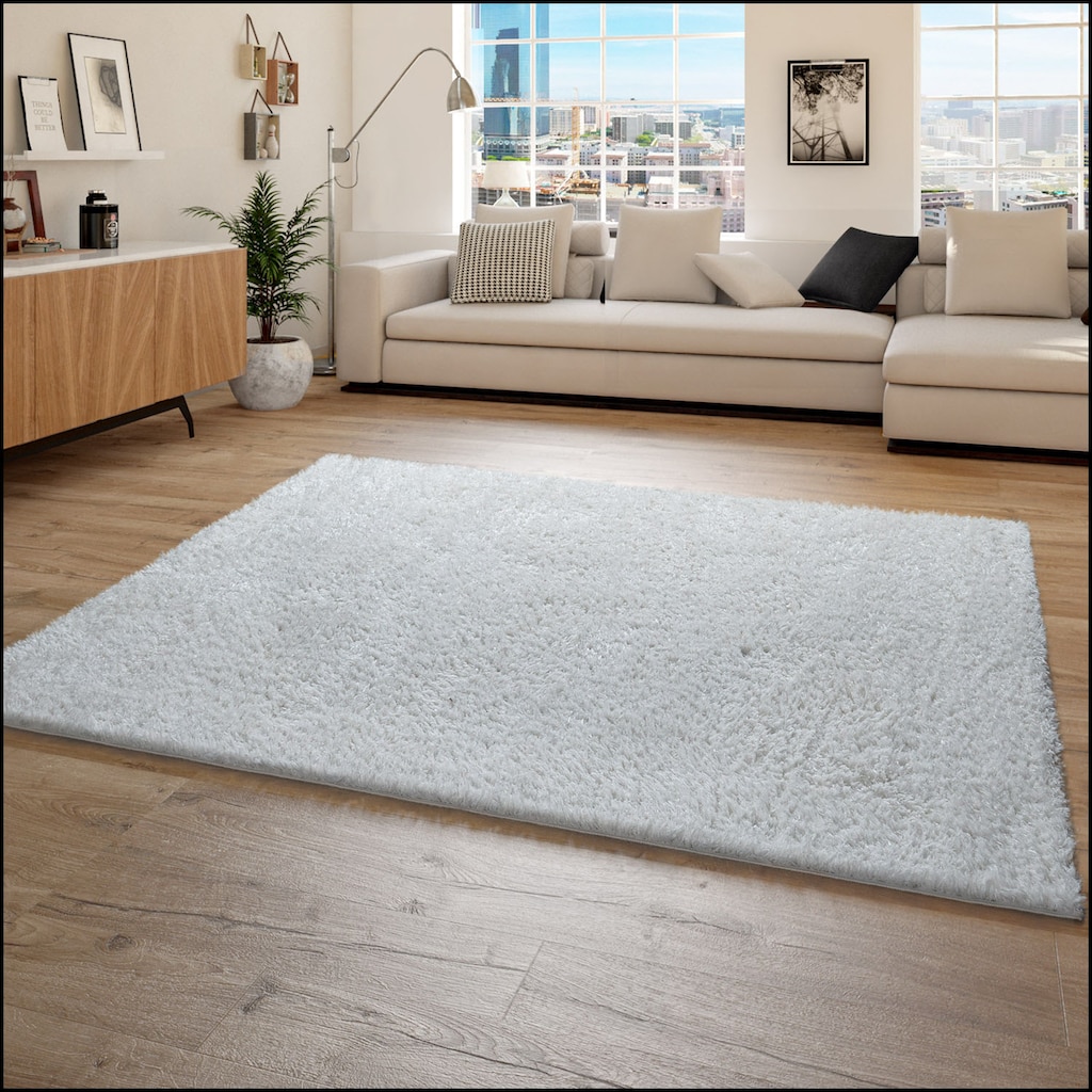 Paco Home Hochflor-Teppich »Floppy 770«, rechteckig