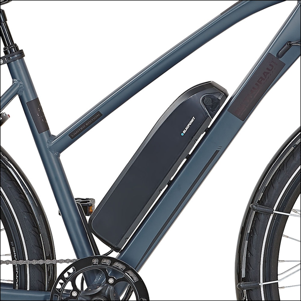 Didi THURAU Edition E-Bike »Alu Trekking«, 8 Gang, Heckmotor 250 W, (mit Schloss)
