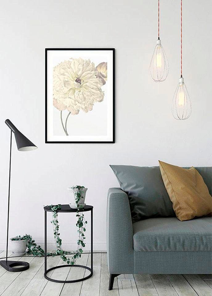 Komar Bild »Illustration Dahlia« 1 Stk. tlg. Wandbild zur Dekoration - ohne Rahmen