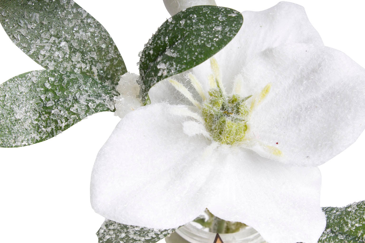 Botanic-Haus Künstliche Zimmerpflanze »Mistel-Arrangement«, (Set, 2 St.)  online bei OTTO